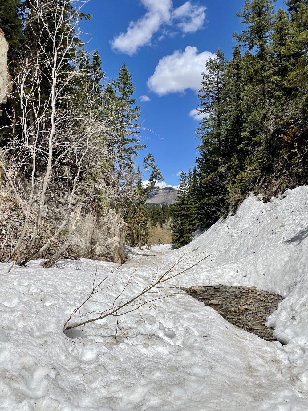 Trail Snow