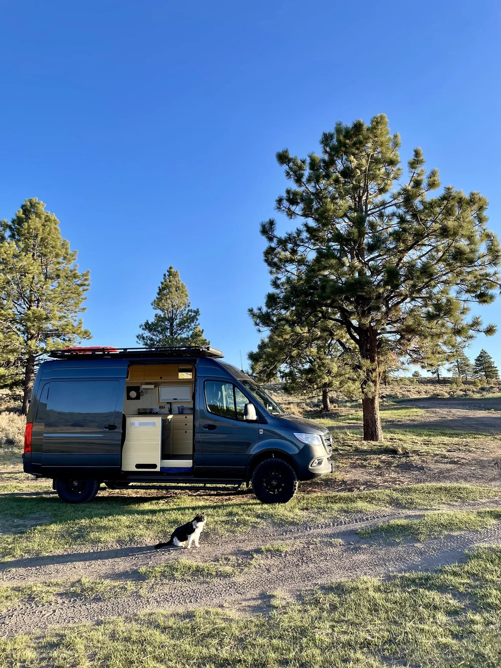 Maverick &amp; His Van