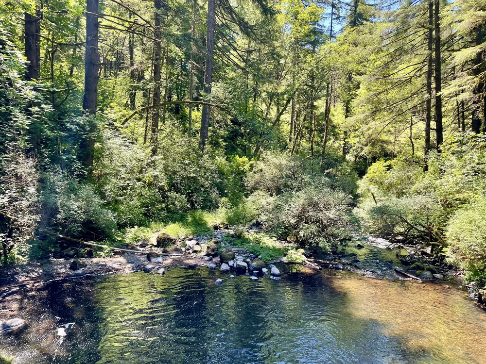 BigTreeCreek.jpg