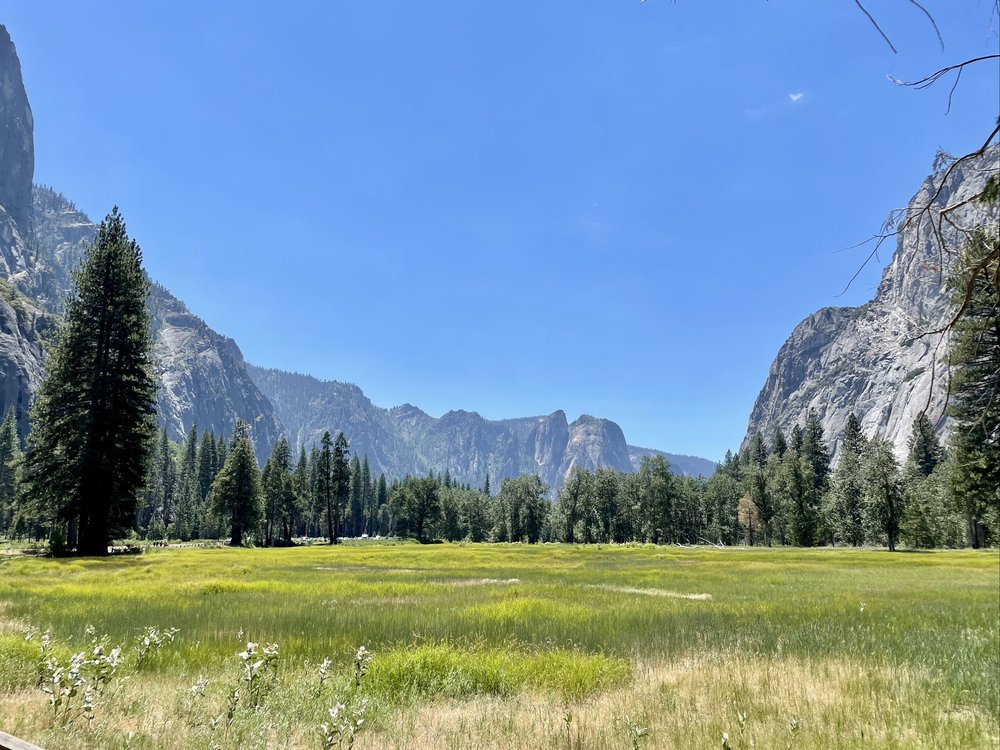 YosemiteValleyFloor.jpg