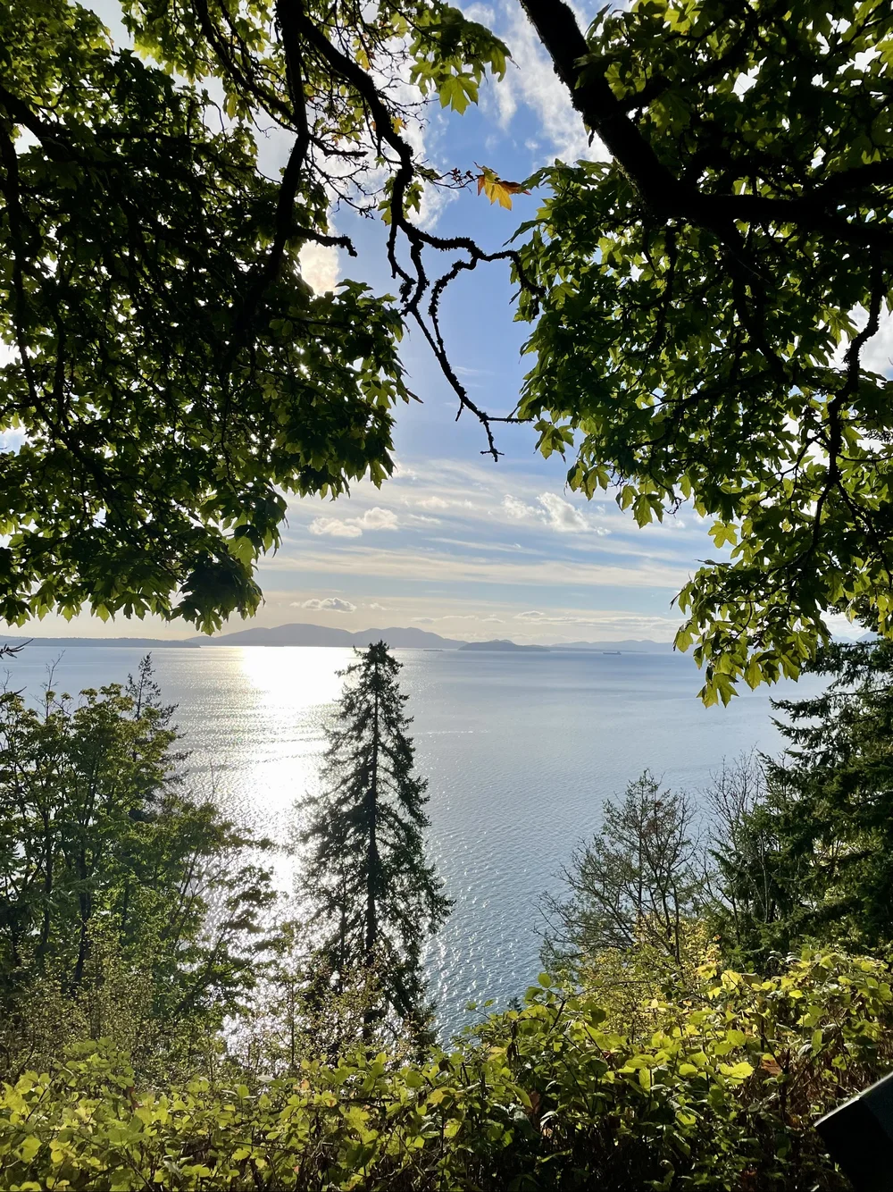 Chuckanut Vista View