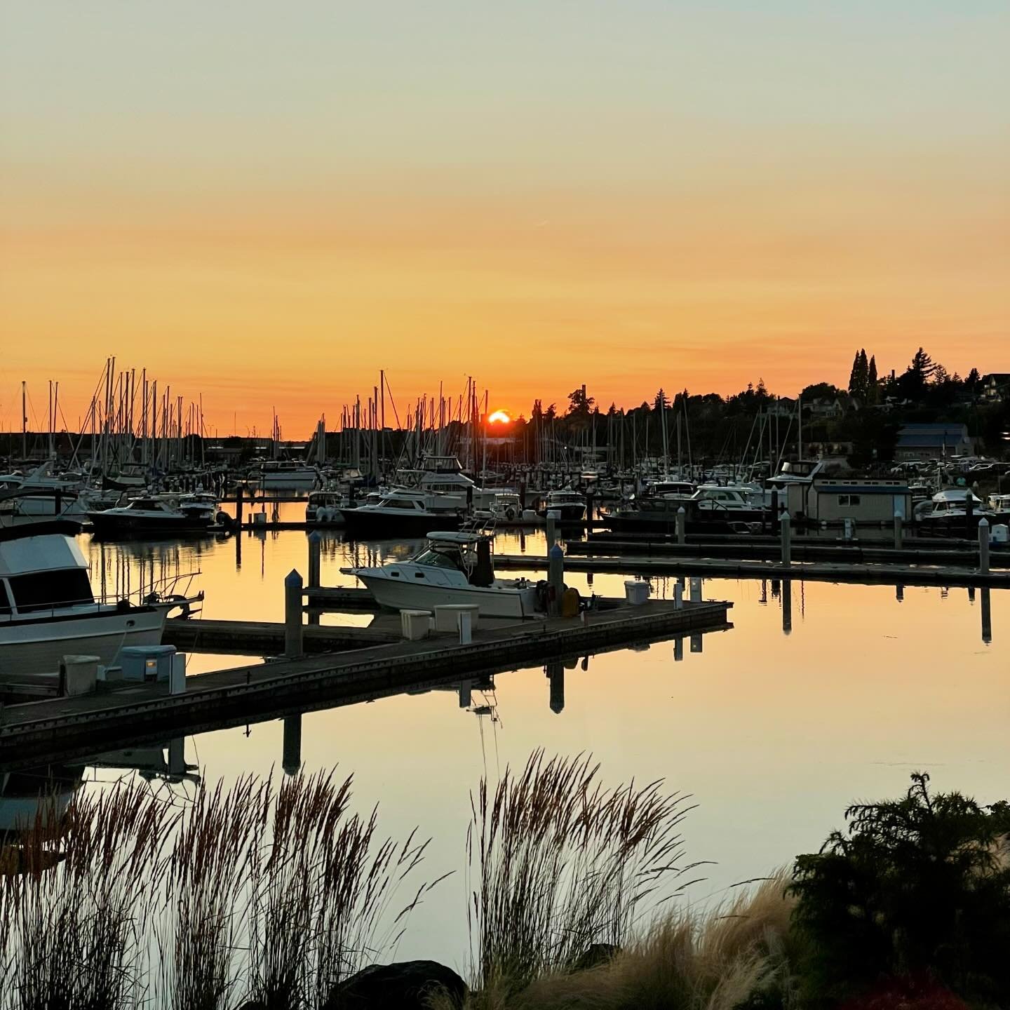 On this #throwbackthursday, I give you a Squalicum Harbor sunset taken from Anthony&rsquo;s Restaurant on July 23, 2021. 🌅⛵️