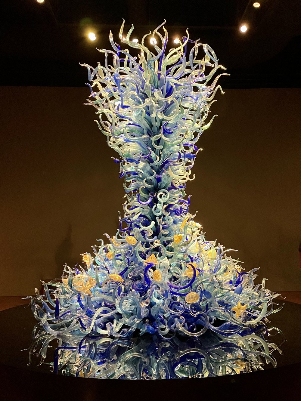 Chihuly Sealife