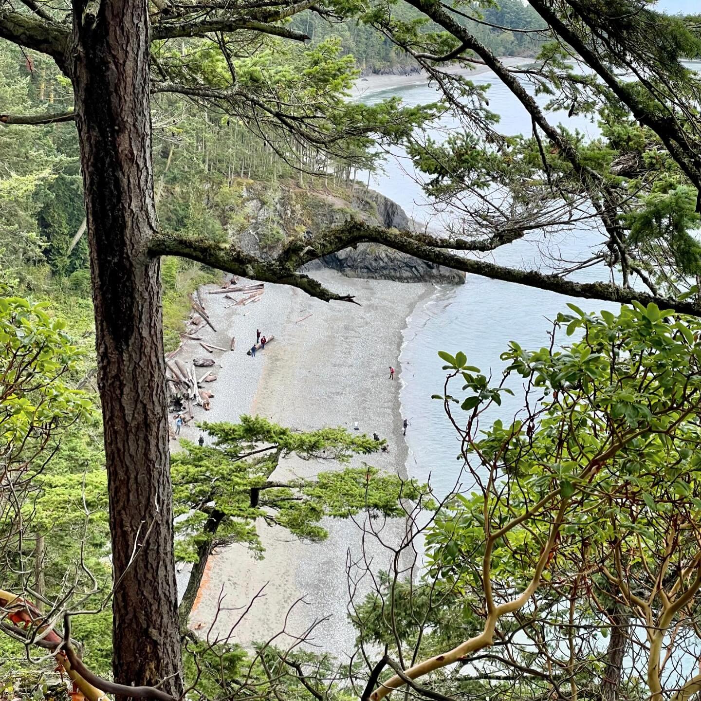 On September 19, 2021, Dylan and I headed to Deception Pass State Park and hiked part of the Goose Rock Trail and immersed ourselves in some &ldquo;forest bathing,&rdquo; appreciating the water views of Deception Pass along the path. Then we headed d