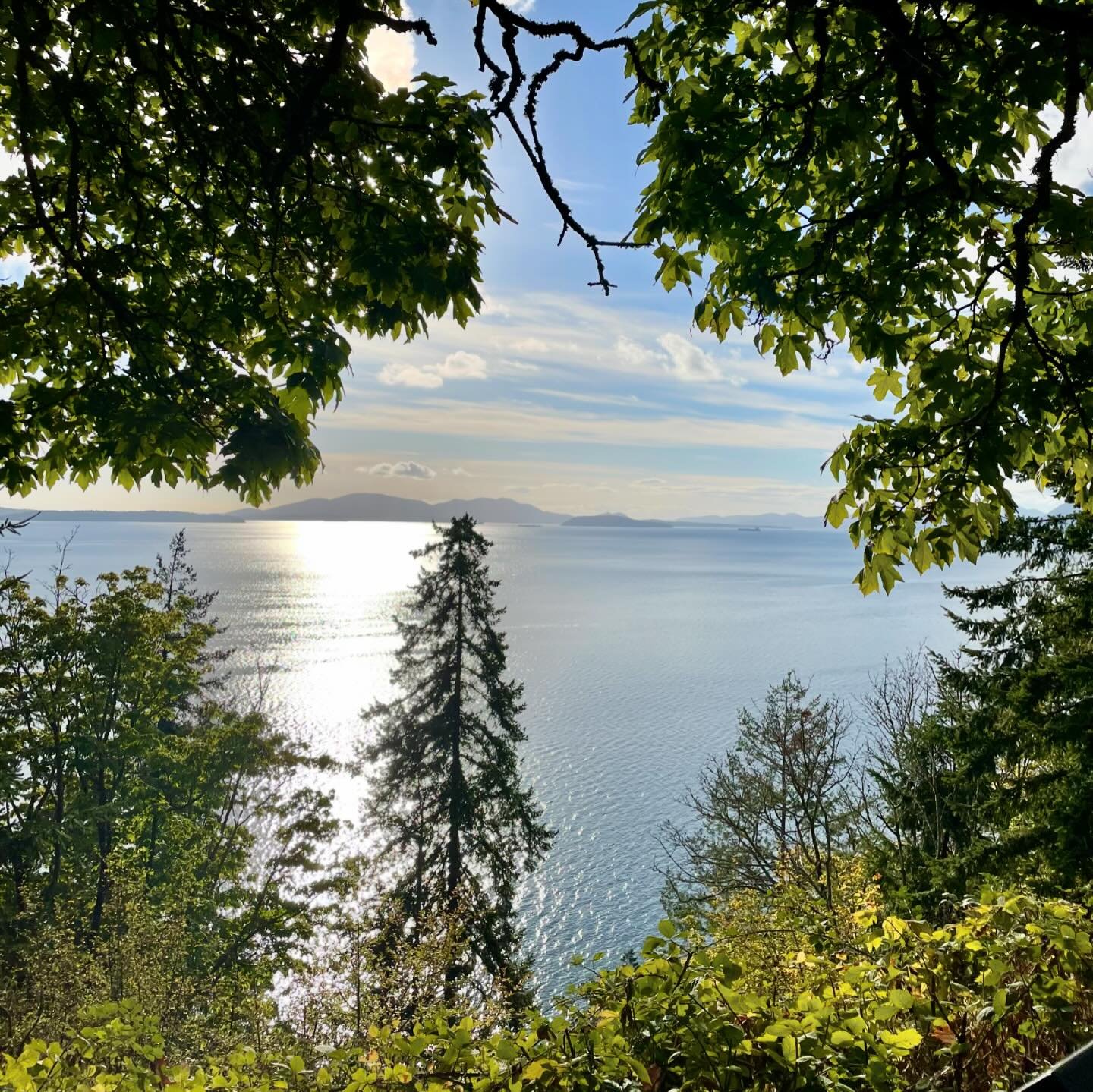 The viewpoint along Chuckanut Drive Scenic Byway is another one of my favorite places to show visitors with its exceptional view of the San Juan Islands. They call this drive the &ldquo;Big Sur of Washington,&rdquo; which I find a little amusing sinc
