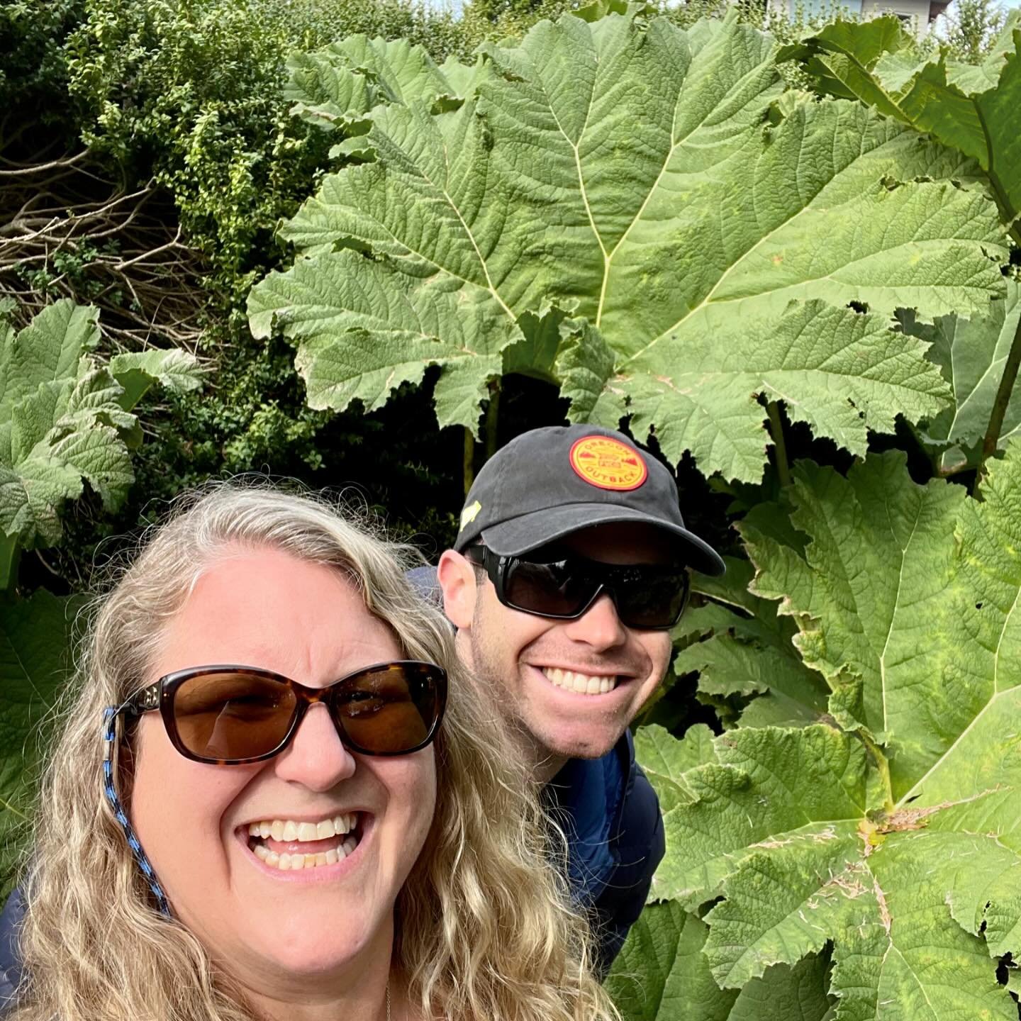 Did you know a Chilean rhubarb has leaves that can grow up to 8.2 feet (2.5 m) across! 🍃

While at Peace Arch Park on 9/20/21, Dylan and I stopped at a small garden there where they had some of these huge plants and I needed to know what they were! 