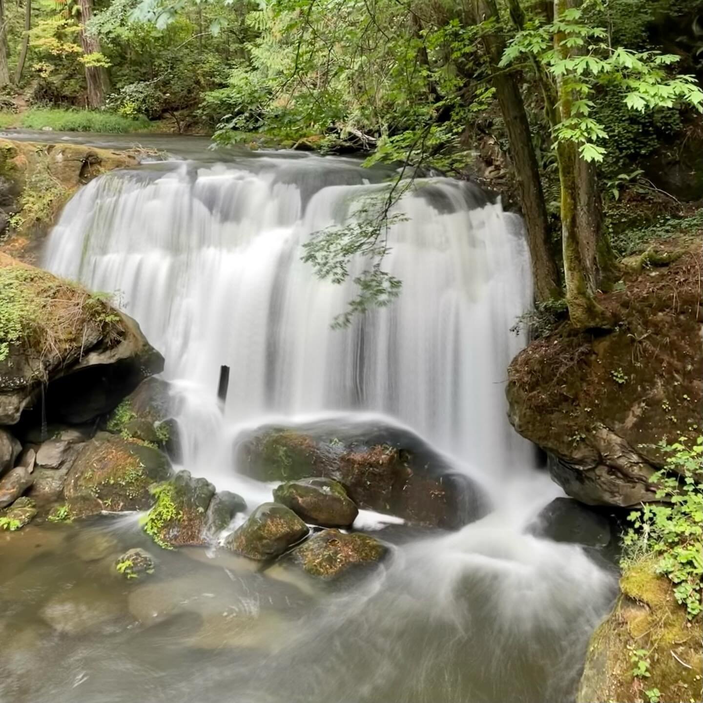 Whatcom Falls Park is another go-to spot for me to show people when they visit as this locally famous waterfall is quite beautiful to experience from the historic stone bridge. The park is also perfect for a stroll in the forested canopy along Whatco