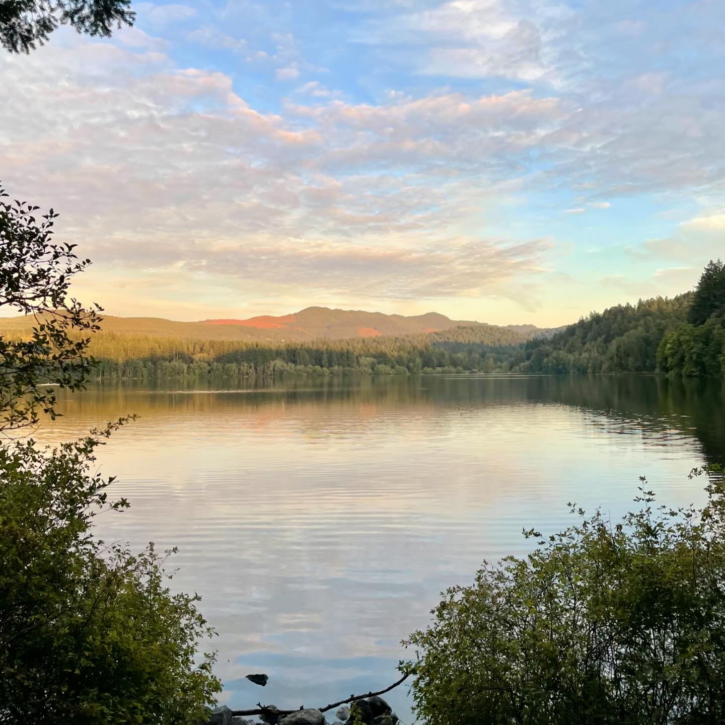 Lake Padden Park is the perfect place for a good walk as the trail around this beautiful lake is 2.6 miles long with half in the sun and half in the forested canopy. There are two docks (one on each end) from which you can fish or just sit on a bench