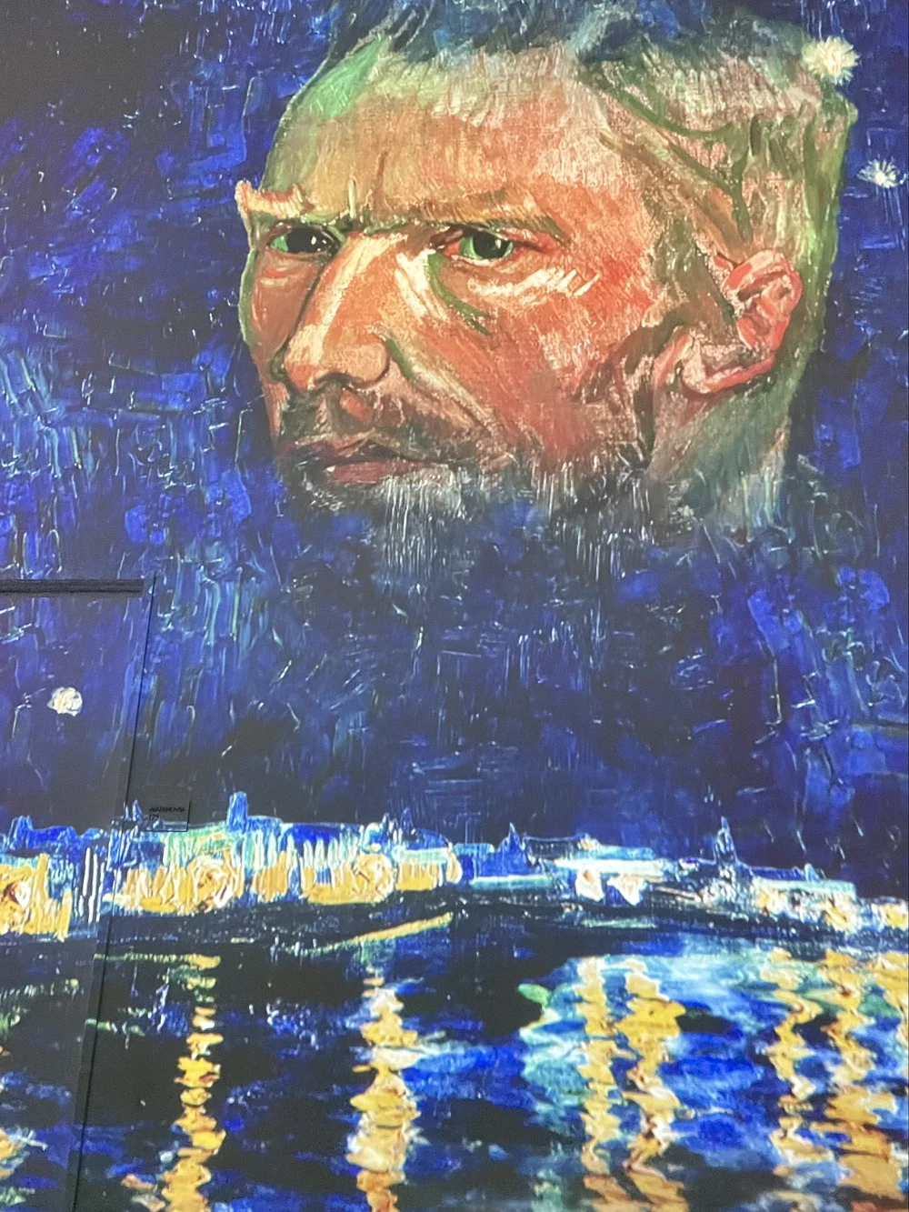 VanGoghImmersive4.jpg