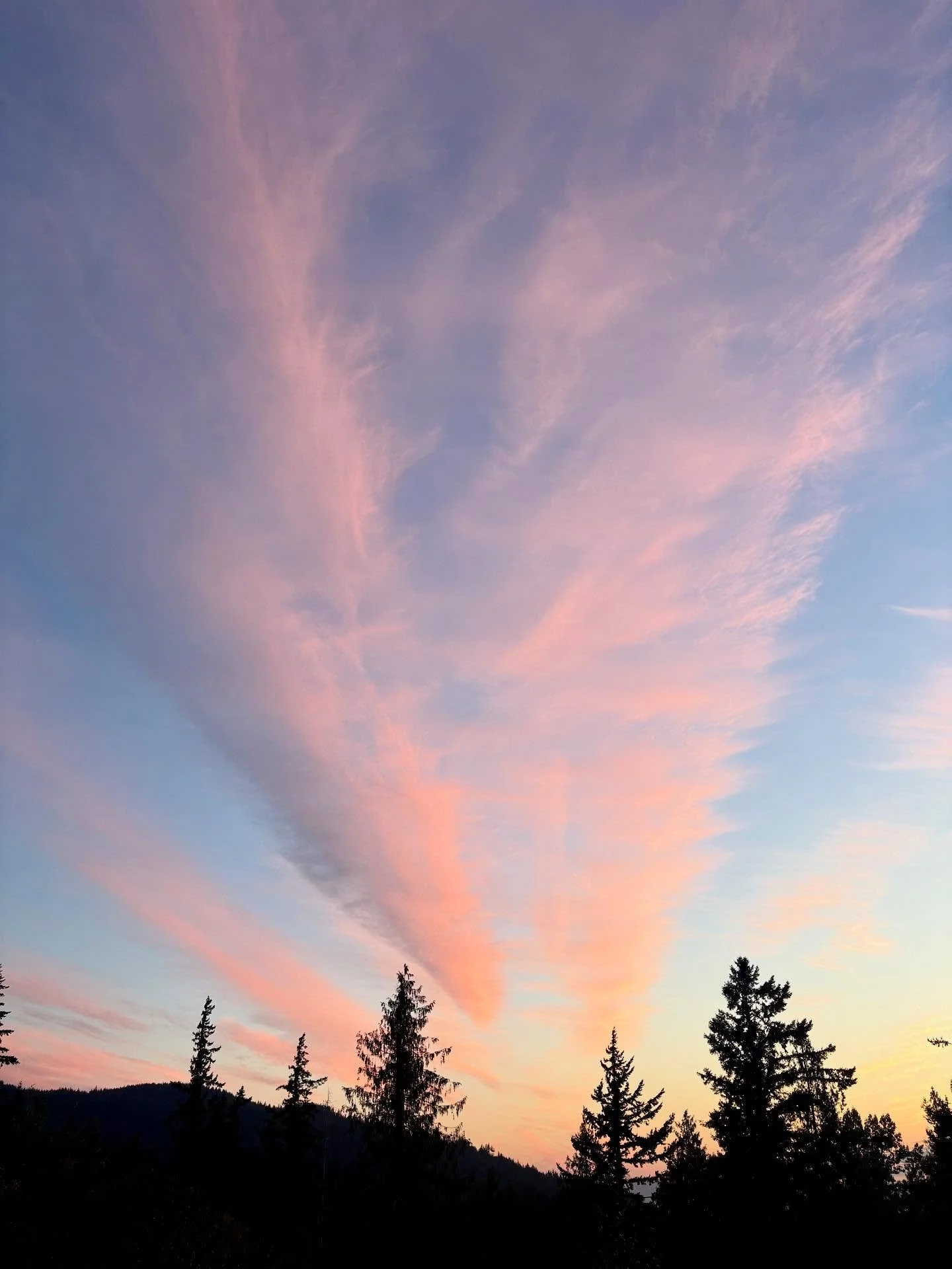 Quick break from my Whistler trip posts to show off Tuesday’s amazing sunset! I got to see this one develop while walking around Lake Padden and made it home for the end. Those cirrus clouds really had a definite feather-like feel to them. Thes