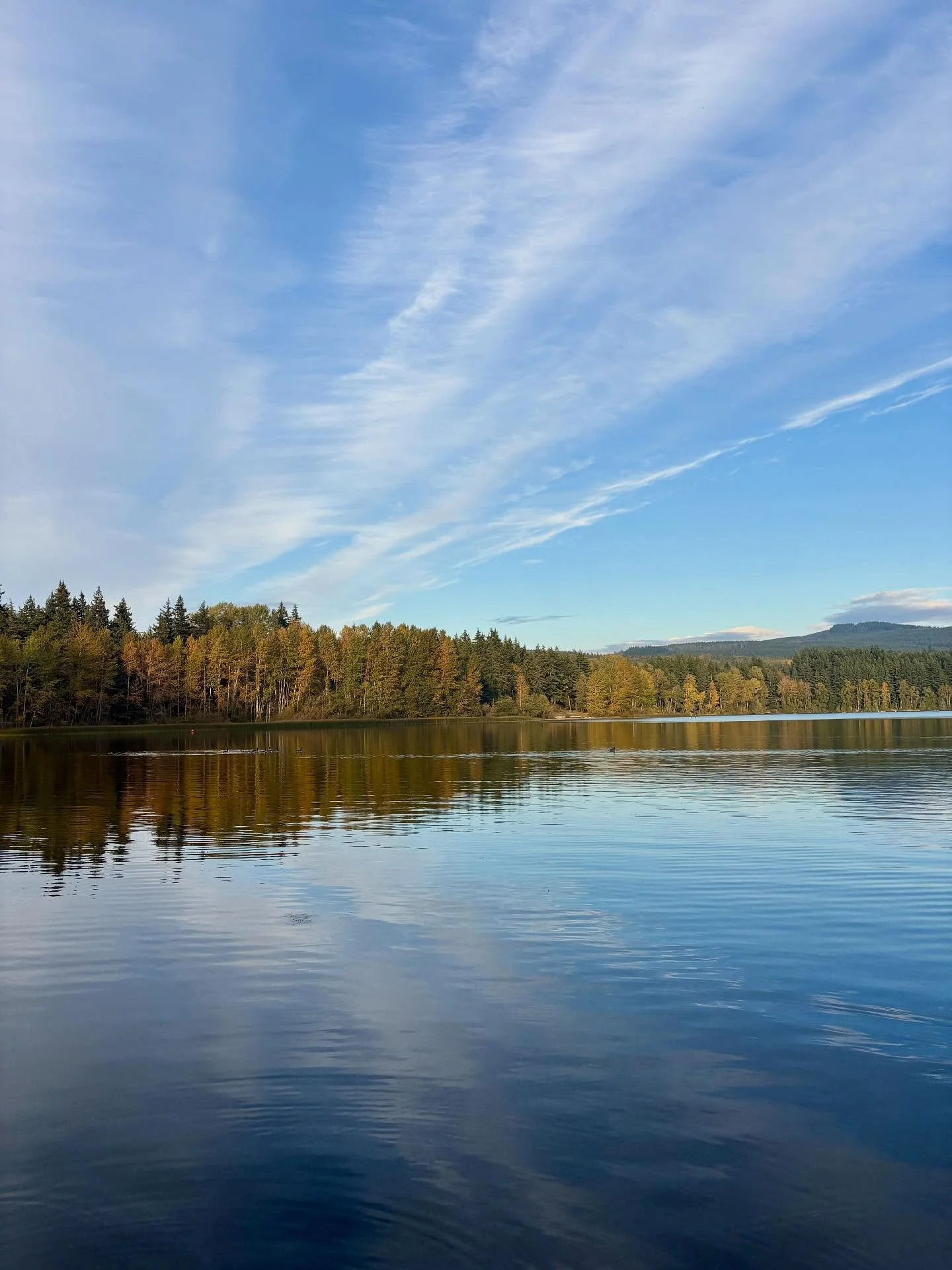 I enjoyed a wonderful walk around Lake Padden this past Tuesday (10/07)! The blue sky and cloud reflections off the water were just fantastic! π