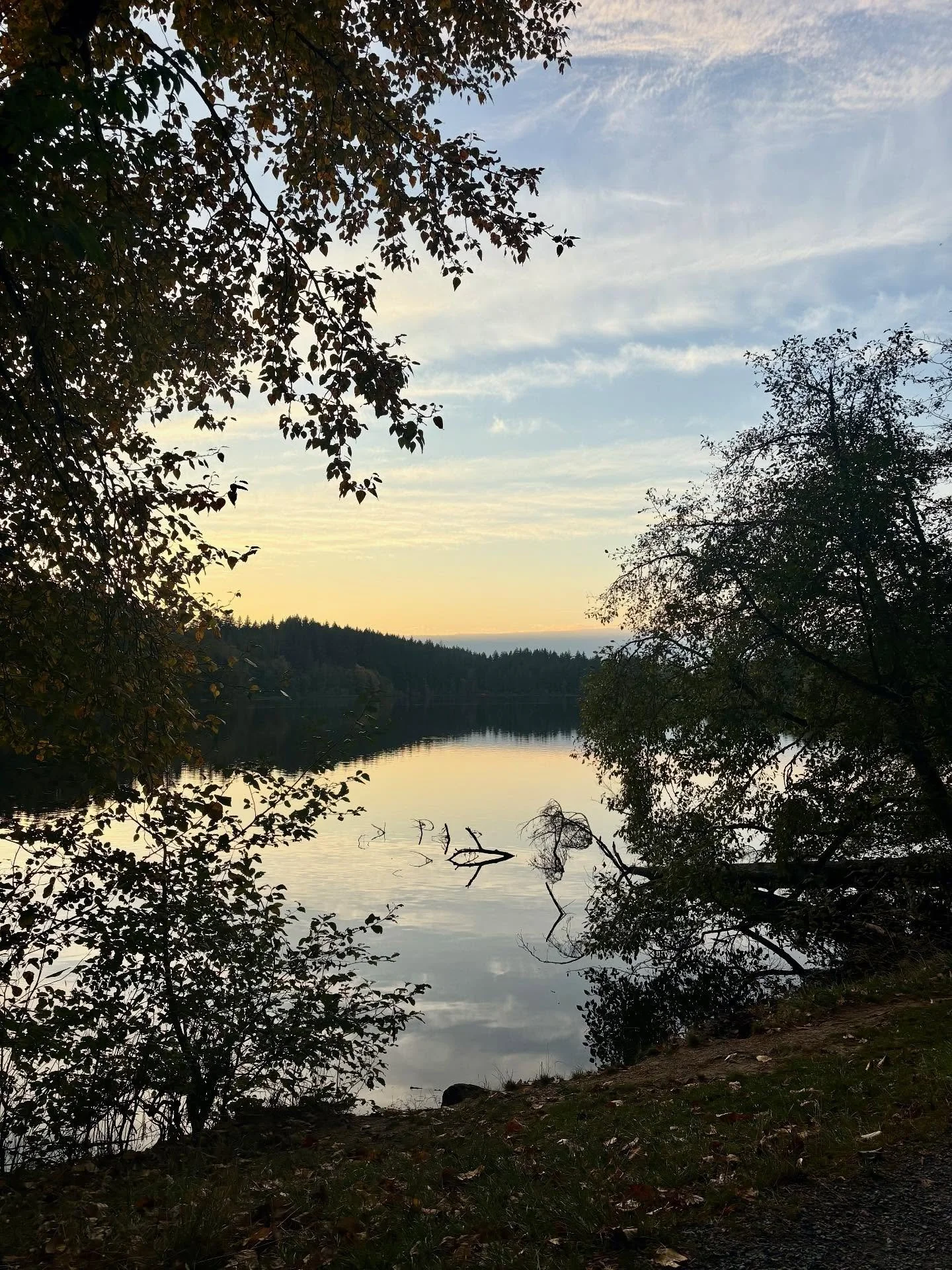 More lovely shots from my walk around Lake Padden last week (10/07)! The reflections off the still water and the start of sunset colors added a wonderful vibe. π©΅