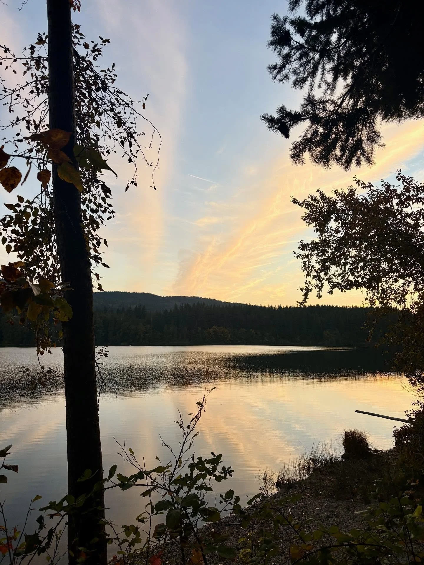 These cirrus clouds really put on a show last week at Lake Padden (10/07)! I had the best time capturing the feathery wisps while on my walk, especially with the reflections of the lake water! π©΅