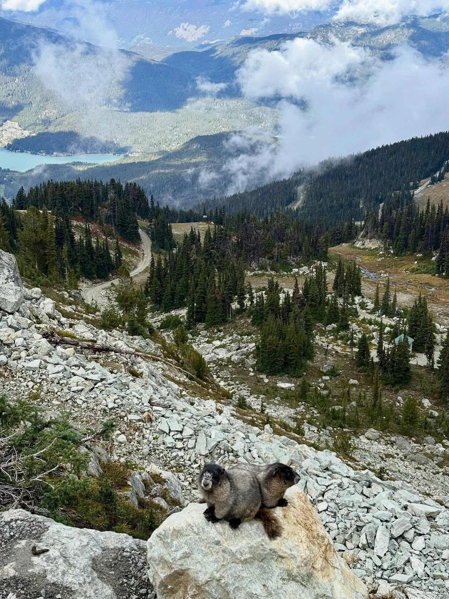 Sea To Sky Highway Van Rally
Day 3 — Part 2
As I was taking the gondola to the top of Blackcomb Mountain, the family I was riding with told me about the marmots the hang out next to the lodge. I had no idea that marmots lived up here and was su