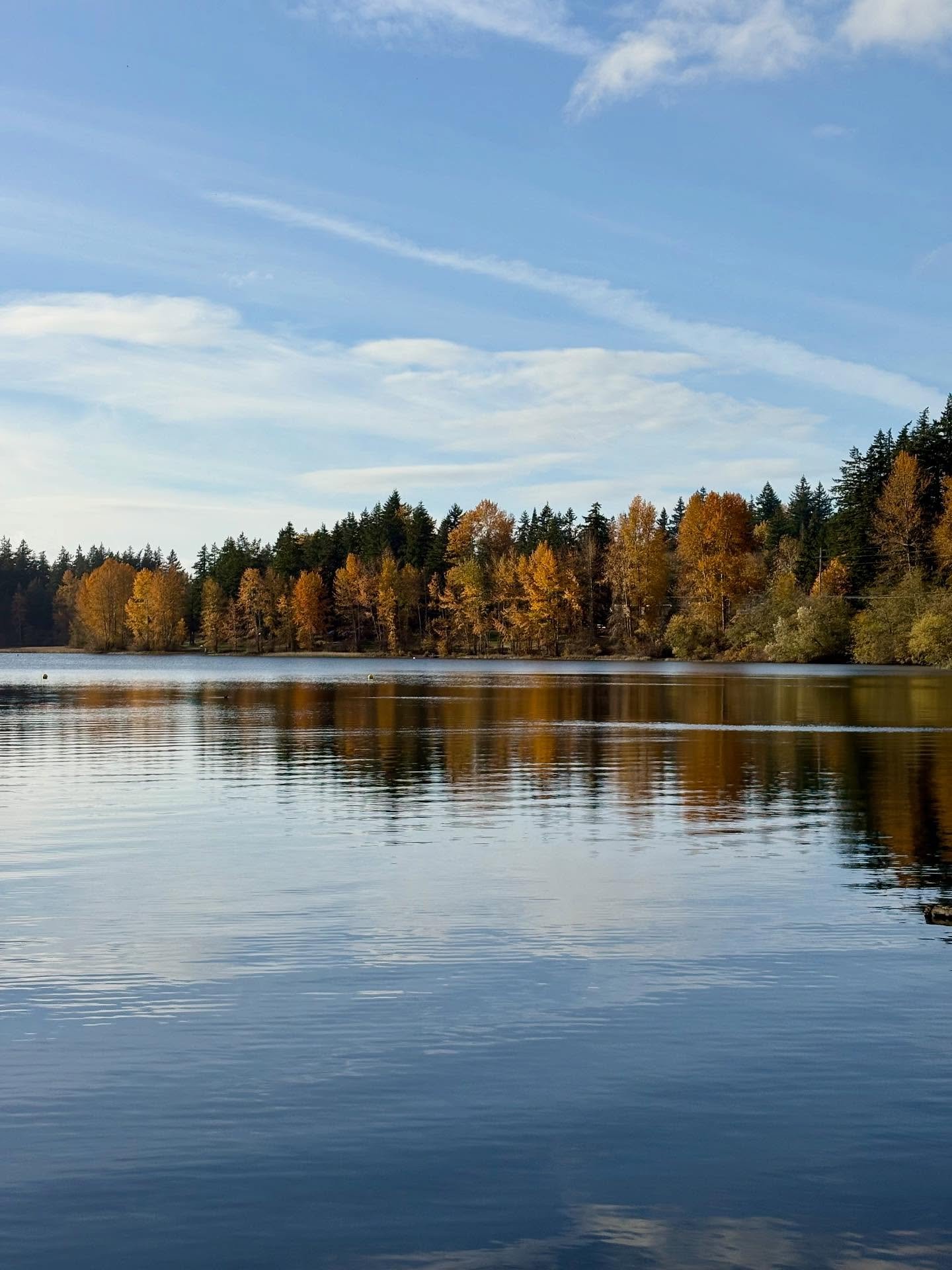 Love all the Autumn colors around Lake Padden! Had the best walk with some amazing neighborhood ladies I befriended at our neighborhood picnic back in August. It was a gorgeous day and the yellow leaves just made for a stunning backdrop on 10/29. 🍁