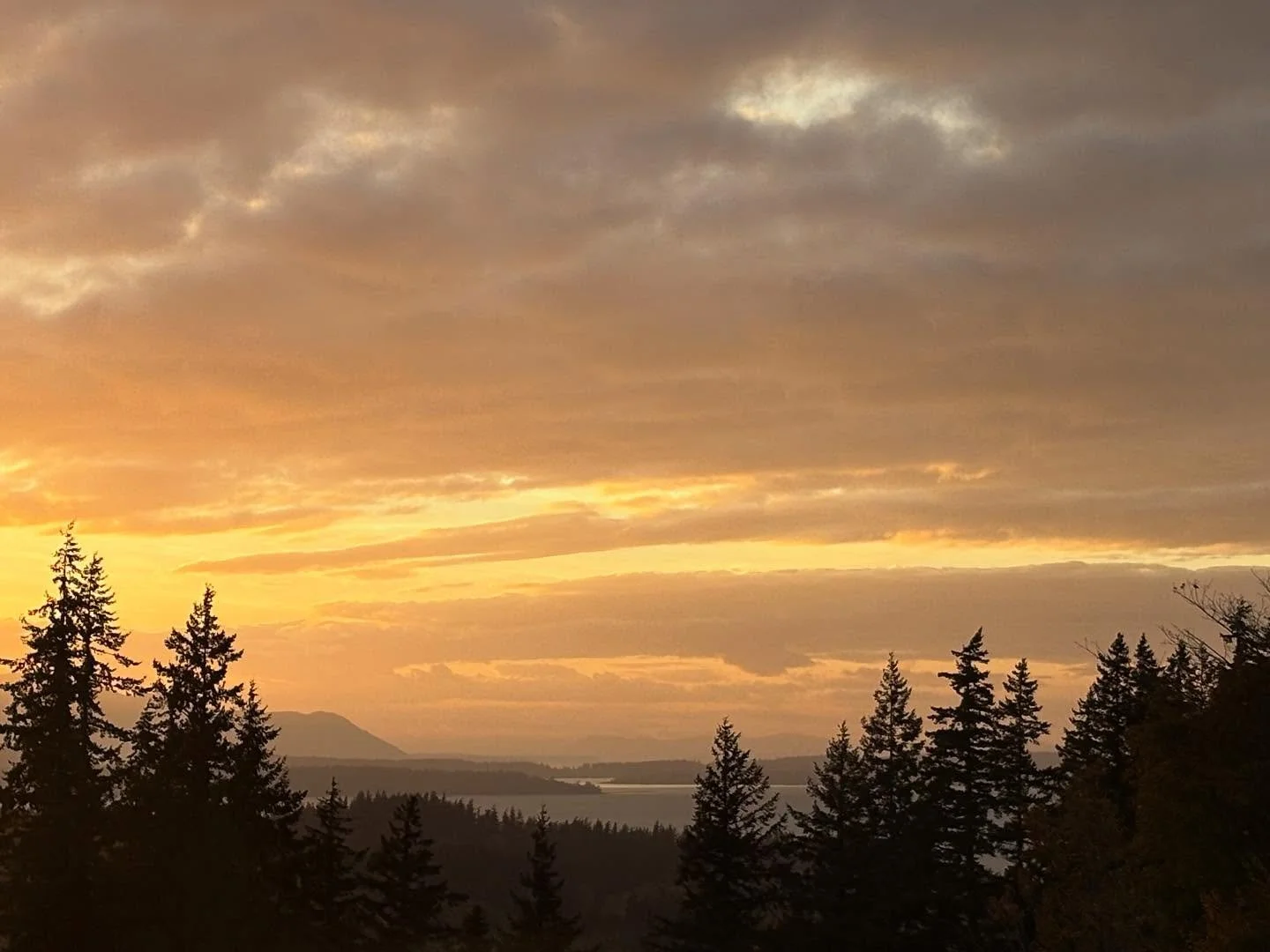 Another sunset I&rsquo;m late posting about. This beauty took place on October 29th and I love the textured feel of the clouds with the sunset colors! My next post will show off how it ended. 🌅