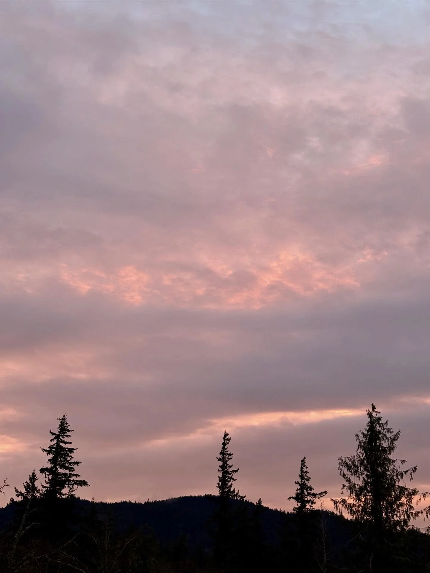 The pop of color in the clouds that appeared during Friday&rsquo;s sunset (12/12) was just beautiful, especially after the crazy atmospheric river that hit northwest Washington over the days before. The gentle pink hues lit up the clouds all over the