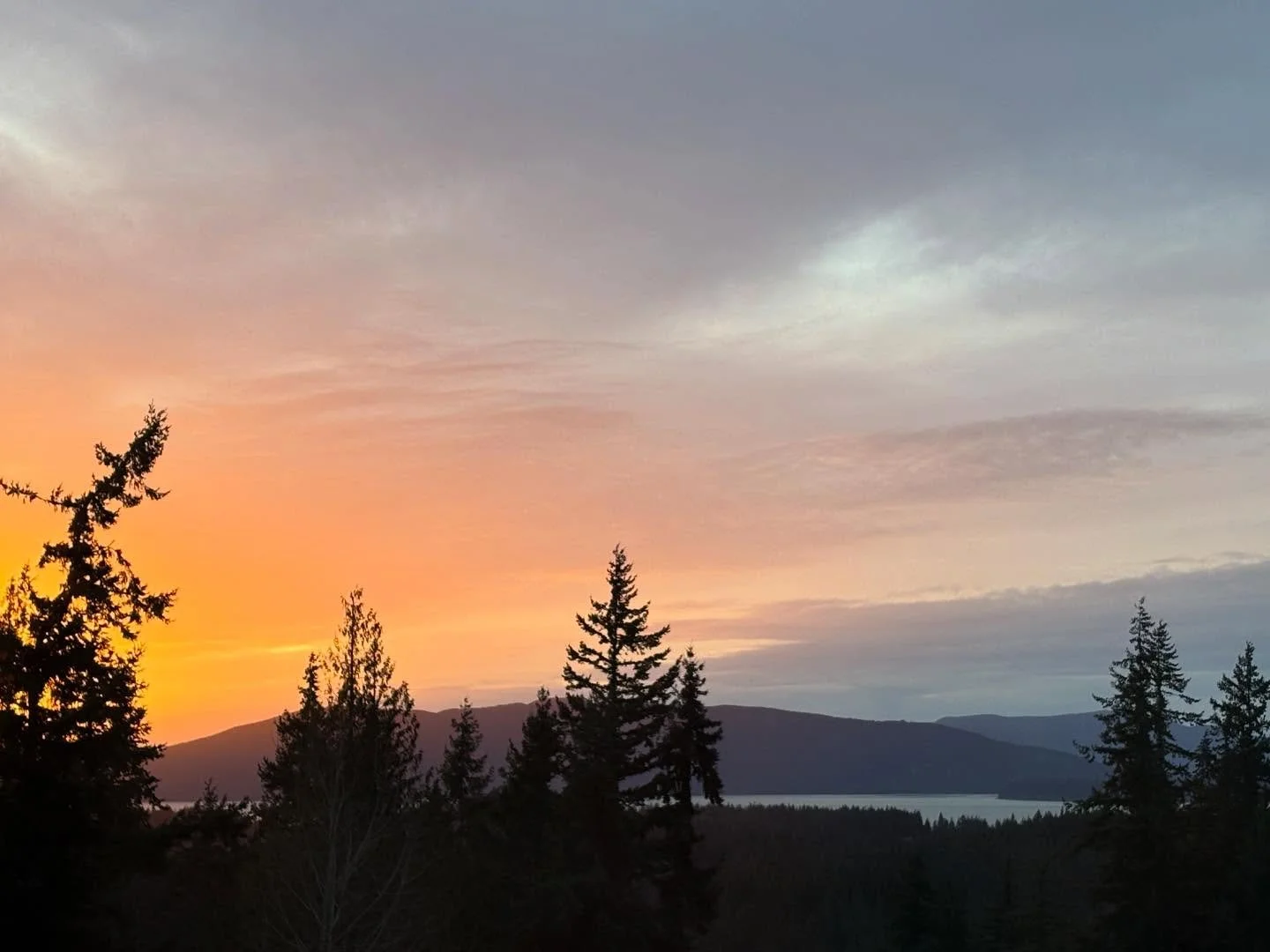 How the sunset started on December 23rd! 🌅
#flashbackfriday