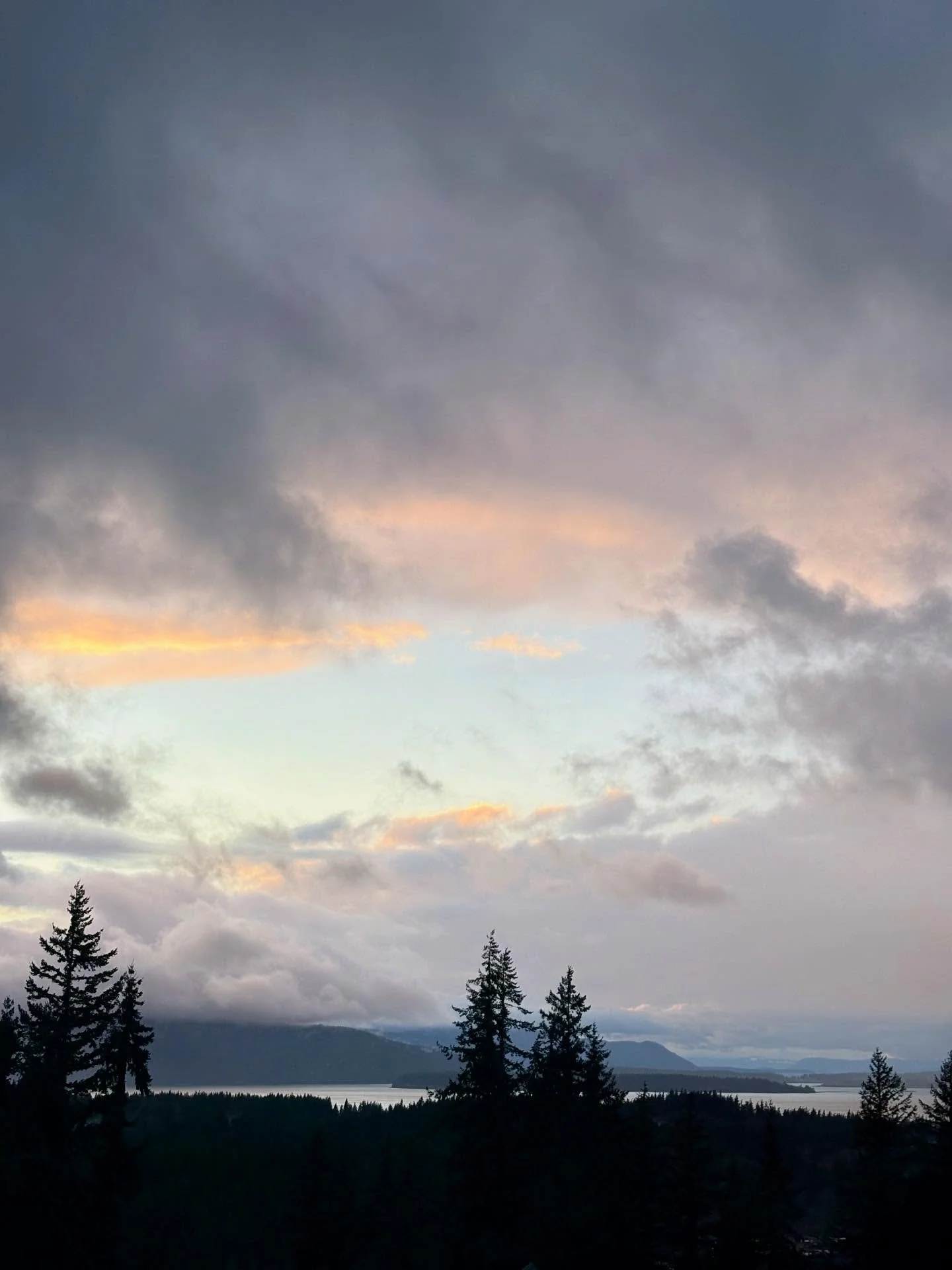 It was great to see the clouds open up enough last night (12/26) and allow some of that sunset magic light to filter through! 🌅