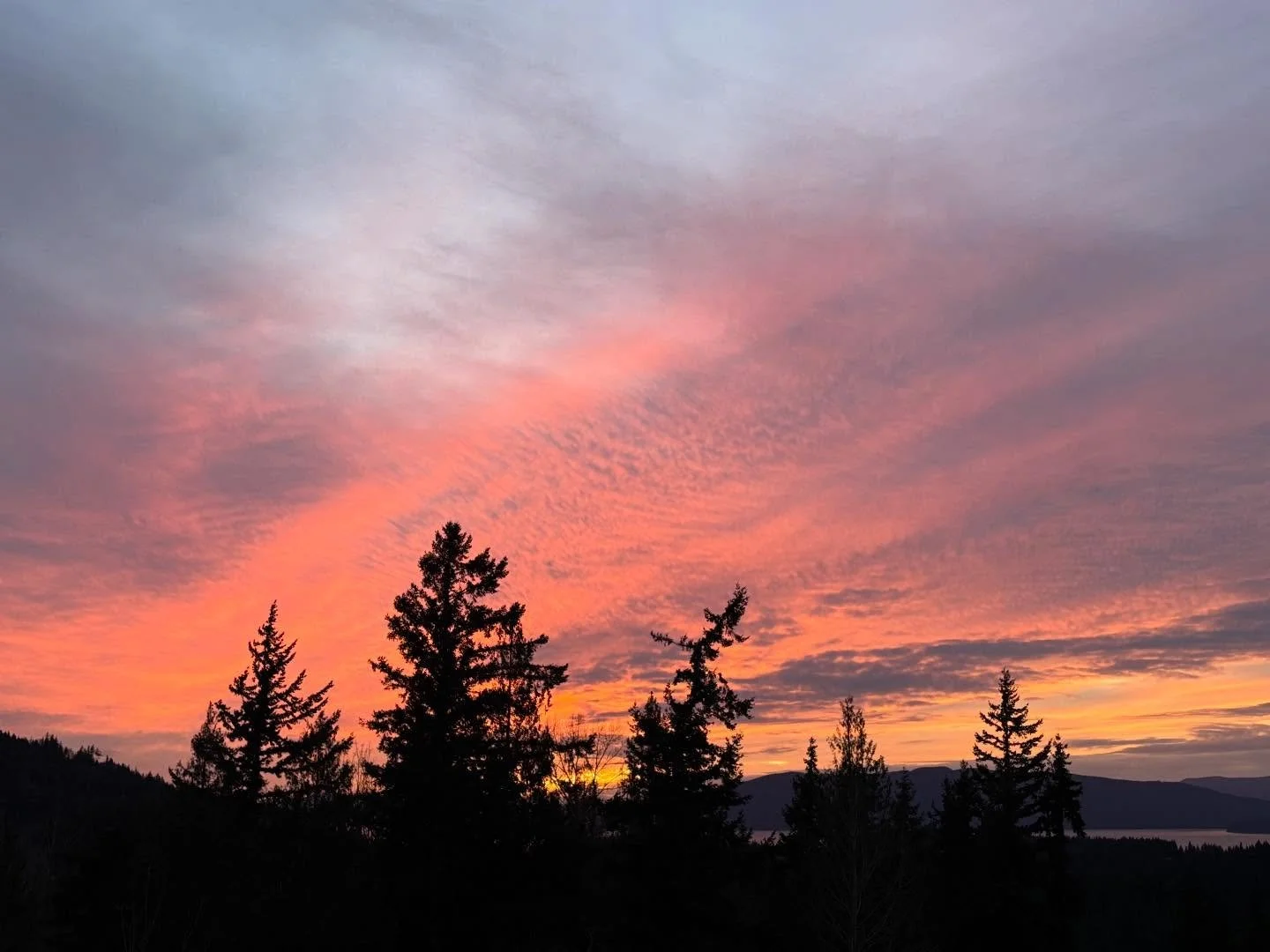 December 23rd&rsquo;s sunset started out very pretty but then exploded into color with wispy clouds over the tree line and islands! 🌅
#mondaymotivaton