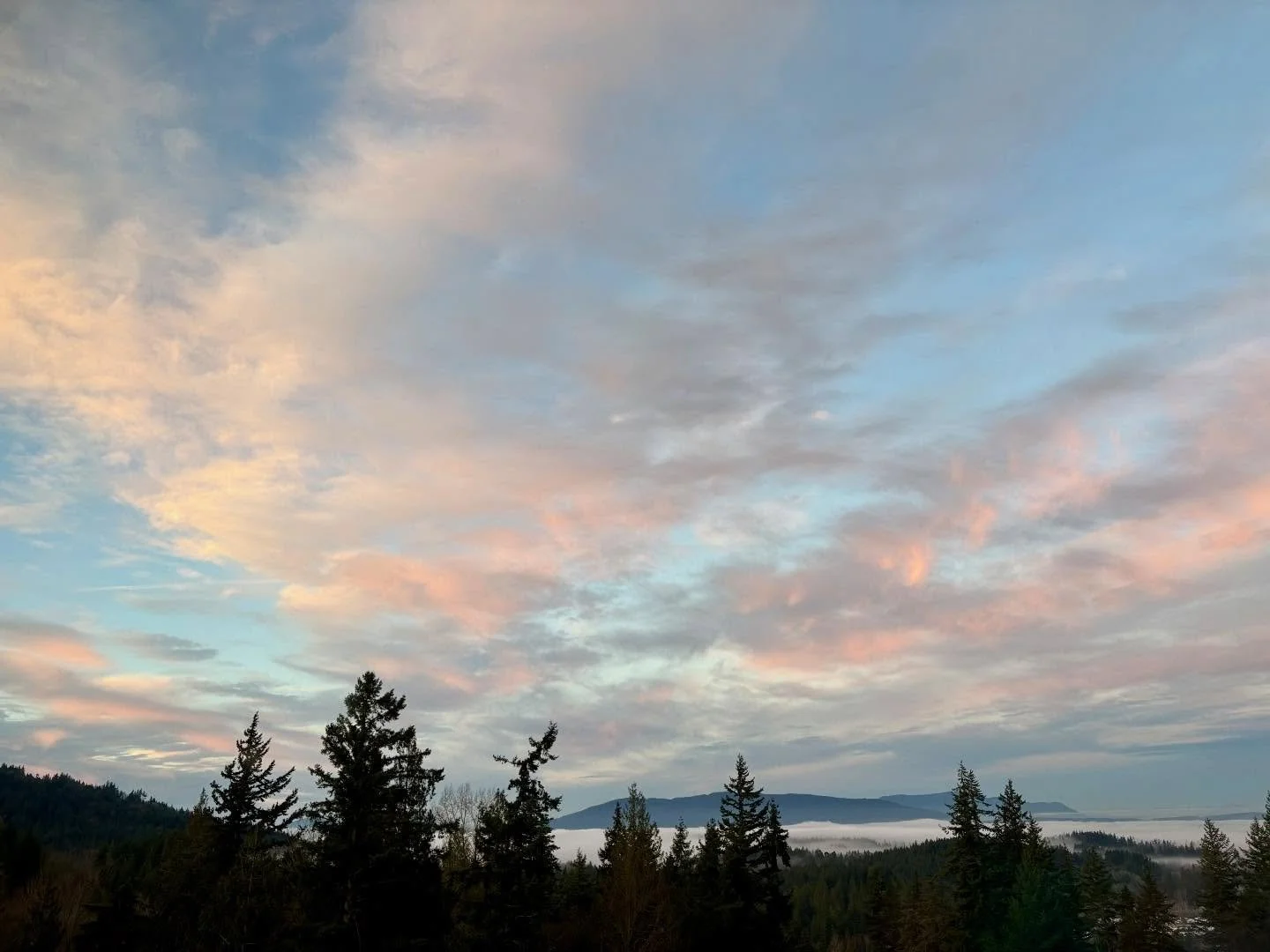 2025 ends with a gorgeous sunrise of cotton candy clouds over the bay with a hint of fog in the trees! 🩷