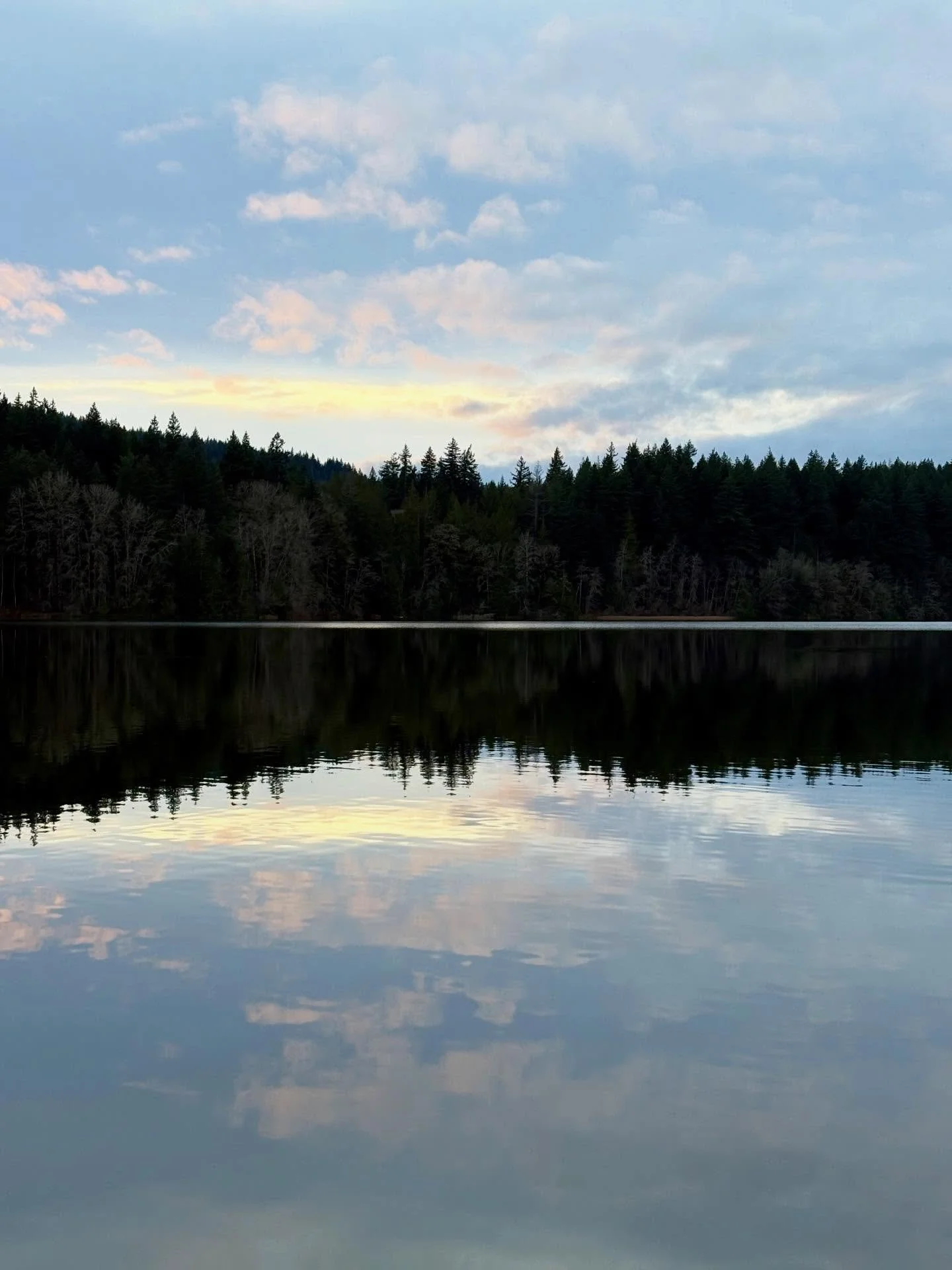 Enjoyed a lovely walk around Lake Padden yesterday with my friend Ahna. Especially loved the puffy pink clouds during golden hour reflecting off the very still lake! 🩵