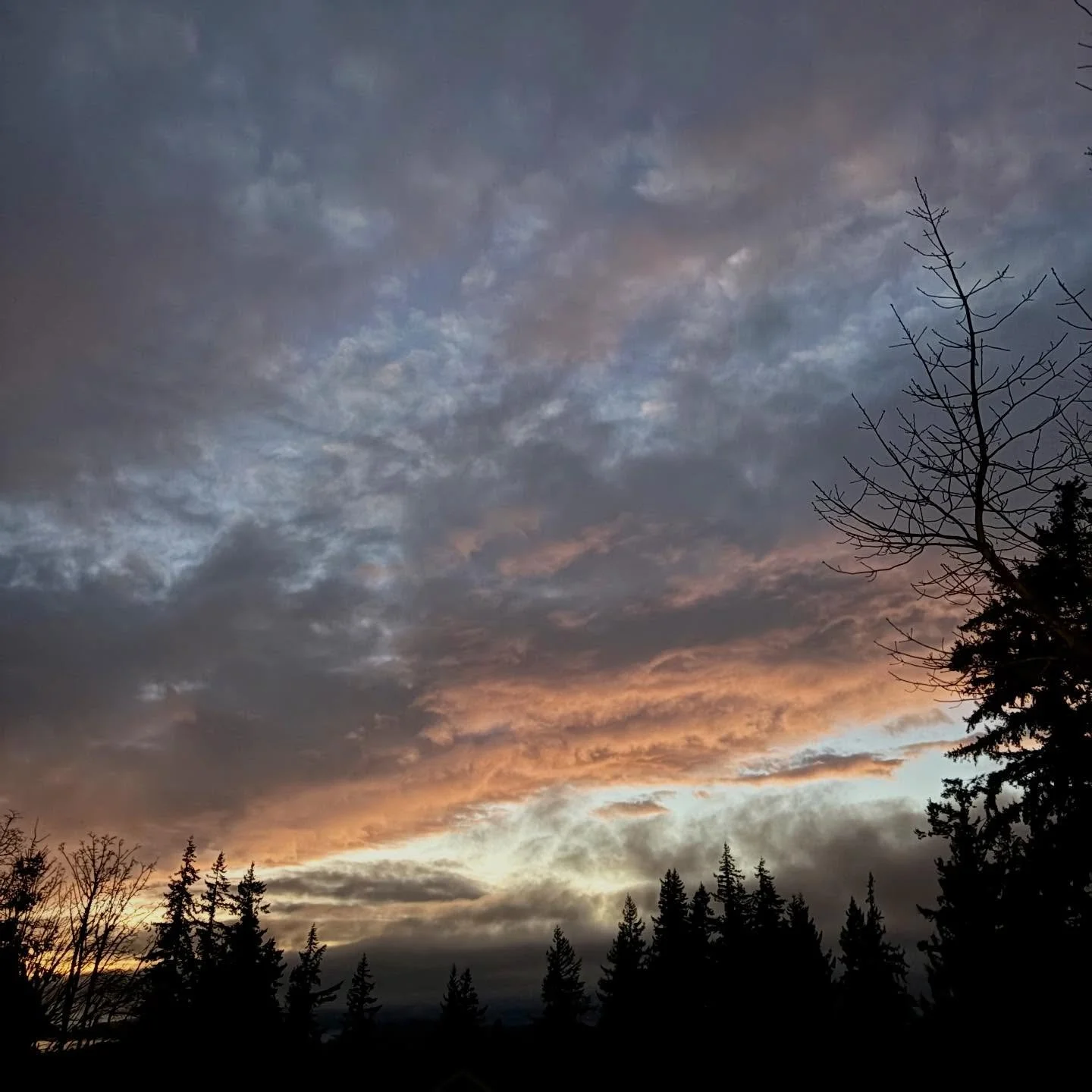 Sometimes you just have to pull over while driving to capture the beauty of the sky! I didn&rsquo;t think the sunset would pop last night and then this happened! 🧡