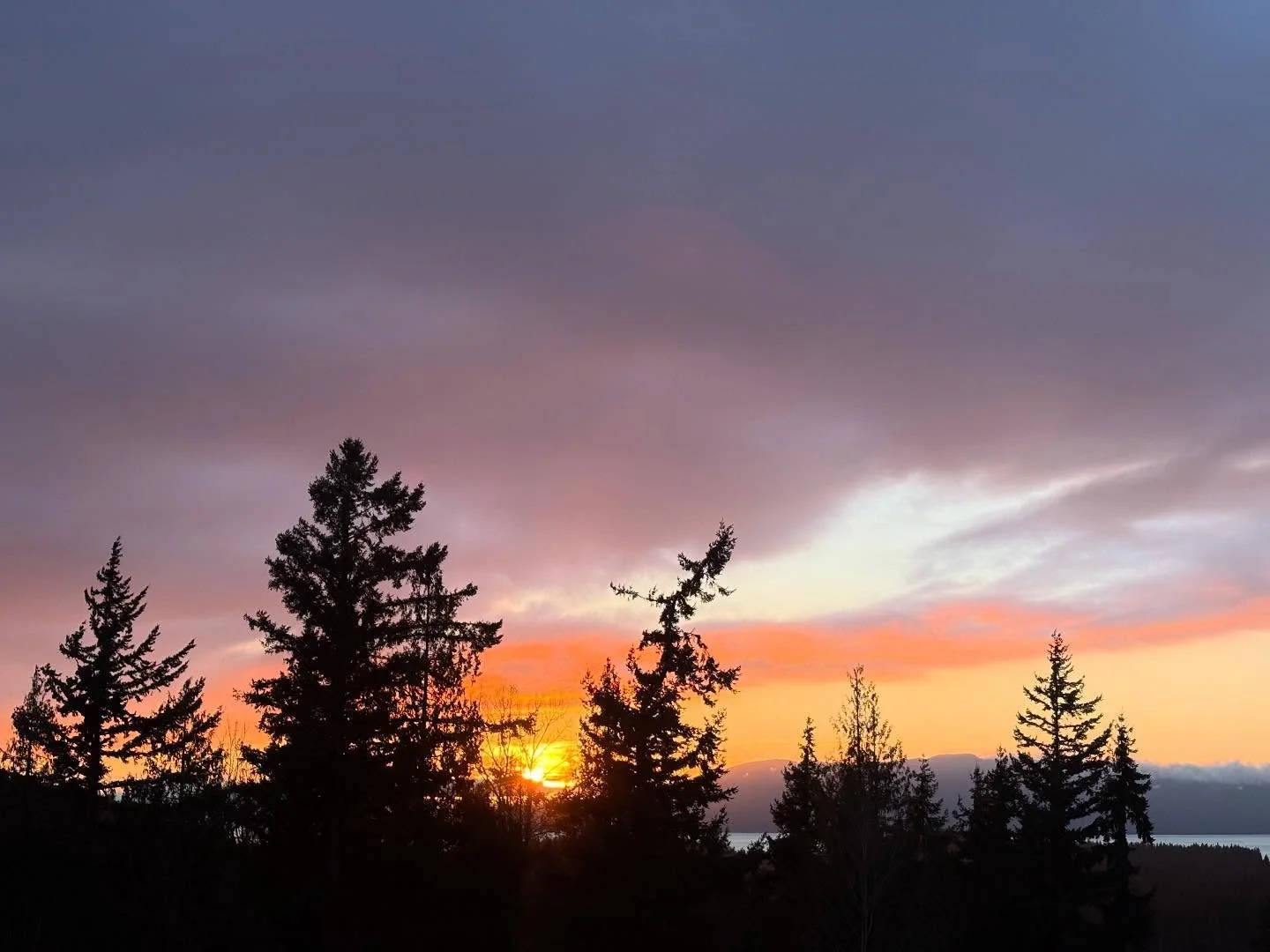 Thursday&rsquo;s (1/15) sunset once the sky was saturated with colors! 🌅