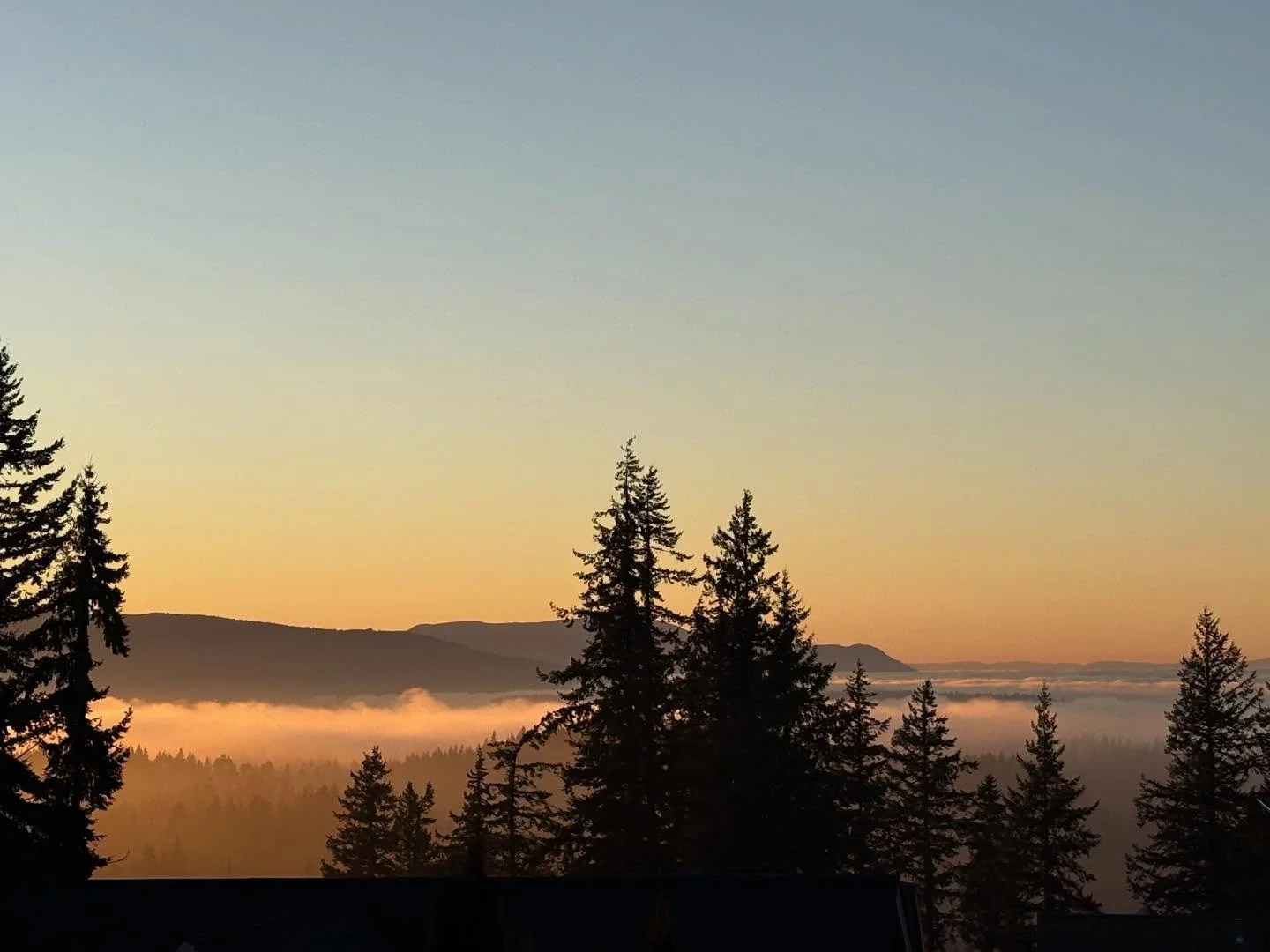 Saturday (1/17) was a beautiful day and the sunset didn&rsquo;t disappoint with the lit up fog over the bay and in the trees! 🌅

#throwbackthursday