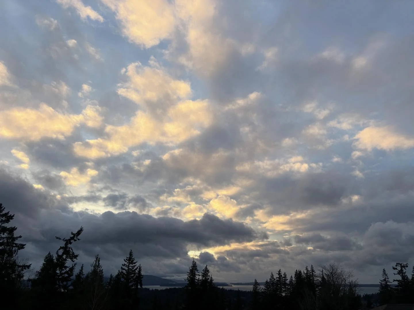 February sure started with a lovely golden hour display!  The storm clouds broke open at dusk to ignite the sky in color and then returned to the gray overcast the PNW is known for. 🌥️