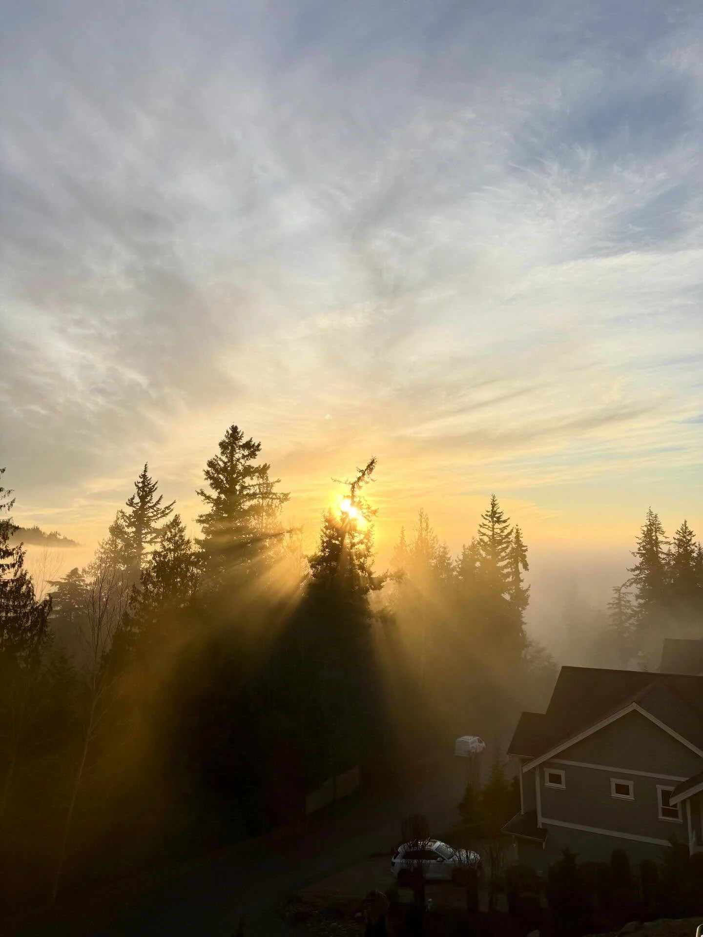 Tonight&rsquo;s foggy sunset for the win! When I first got home, there was a thick layer of fog all the way to my house. Then about 15 mins later, it started to move back out just as the sun was setting on the horizon. Some beautiful rays shined thro