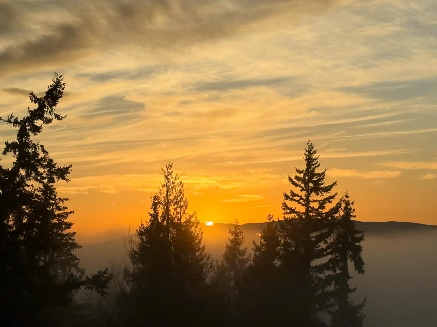 More from the amazing foggy sunset tonight! I enjoyed watching how the sky and fog layer kept changing during this beauty! It was quite the show and I couldn&rsquo;t stop taking photos. One more set of photos to come. 🌅