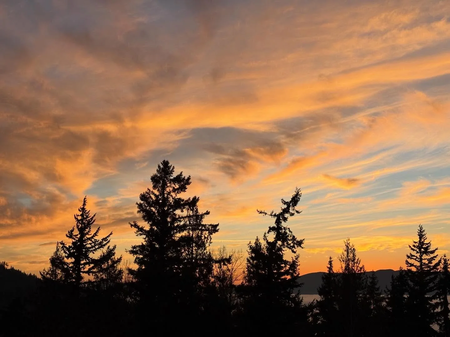 The sky really popped last night after the sun set behind the horizon, while the thick fog hovered over the bay. It was absolutely gorgeous and the progression of oranges to pinks stunning to see. The fog really added a layer of beauty to these captu