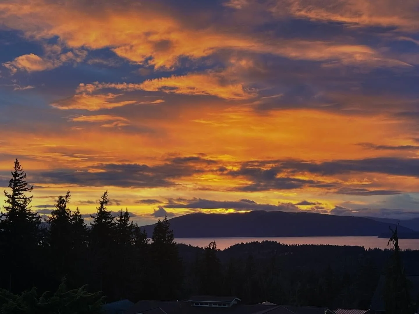 Last night (2/09) the sunset was magic! I can&rsquo;t take credit for the first photo, it&rsquo;s curtesy of my neighbor who lives higher up the hill from me. I was driving when the sky really lit up and asked her to take a pic for me. The rest are m