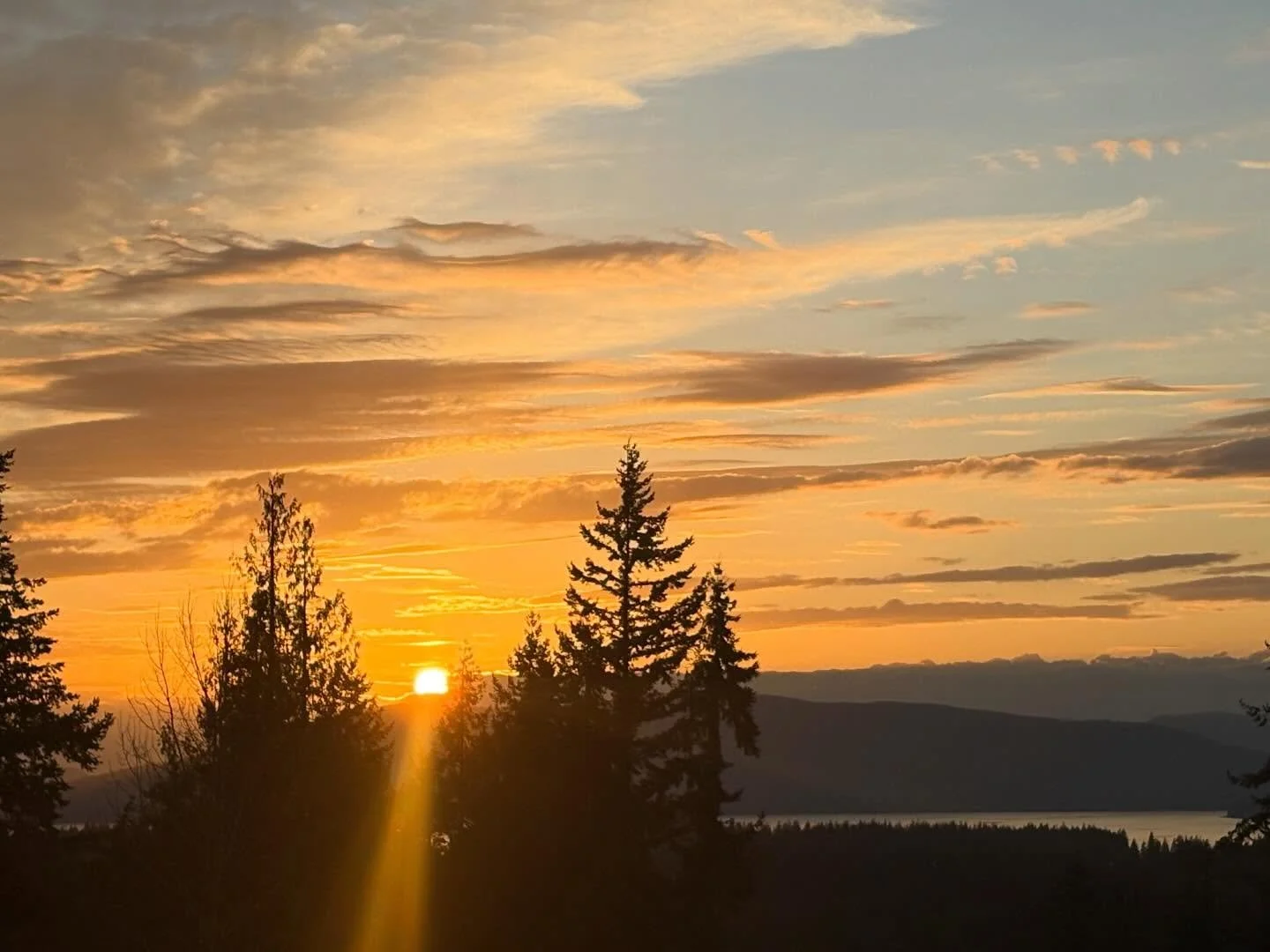 Friday (2/06) night&rsquo;s glorious sunset with sun rays filtering through the trees! ☀️🌲