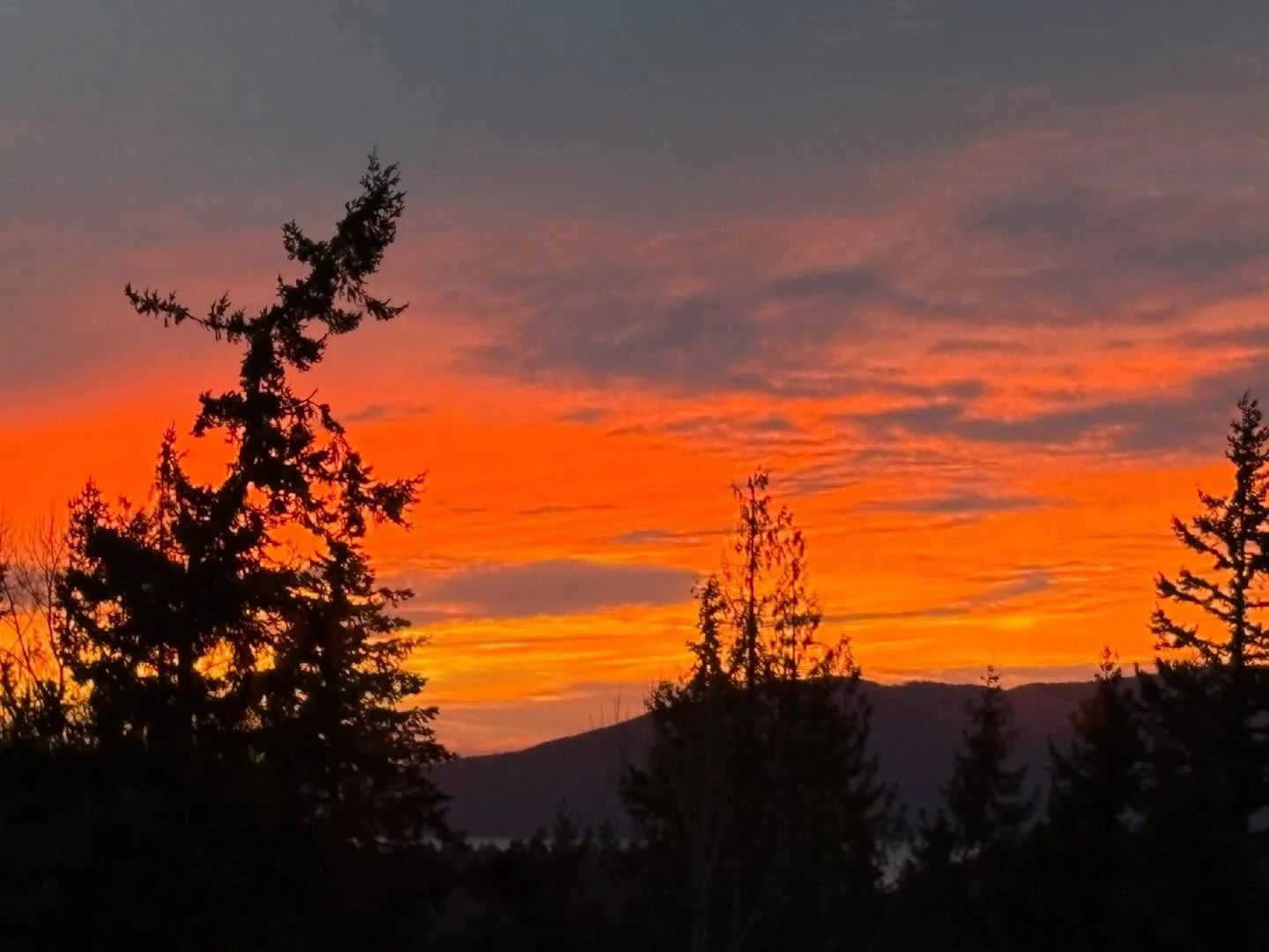 On this #flashbackfriday and #fridaythe13th, I wanted to share a vibrant sunset from December 23, 2025, especially since it&rsquo;s been raining all day and I miss the sun! 🌅