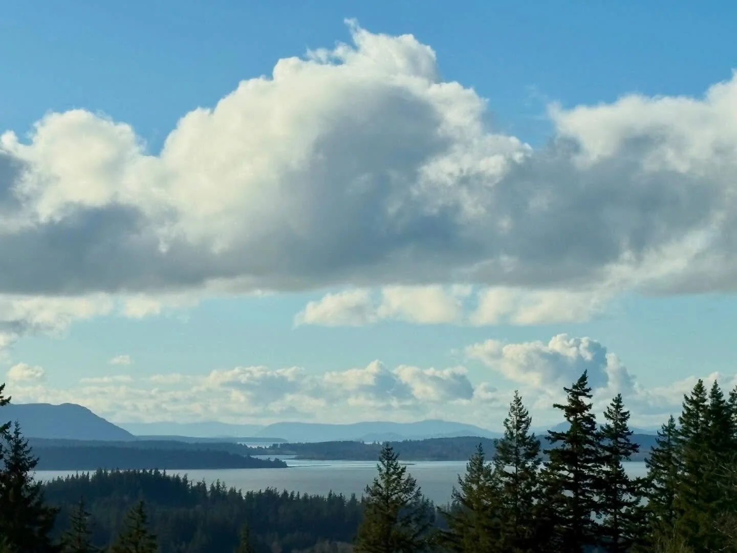 Happy Valentine&rsquo;s Day! What a stunningly gorgeous day it is today! 🤍