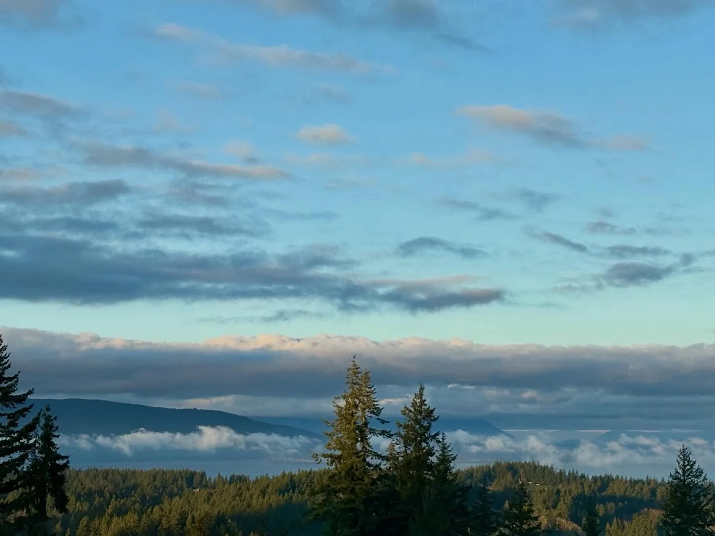 Morning vibes and clouds. It&rsquo;s been a sunny January and now sunny February overall. Doesn&rsquo;t look like winter but the temps feel like winter. 🌤️