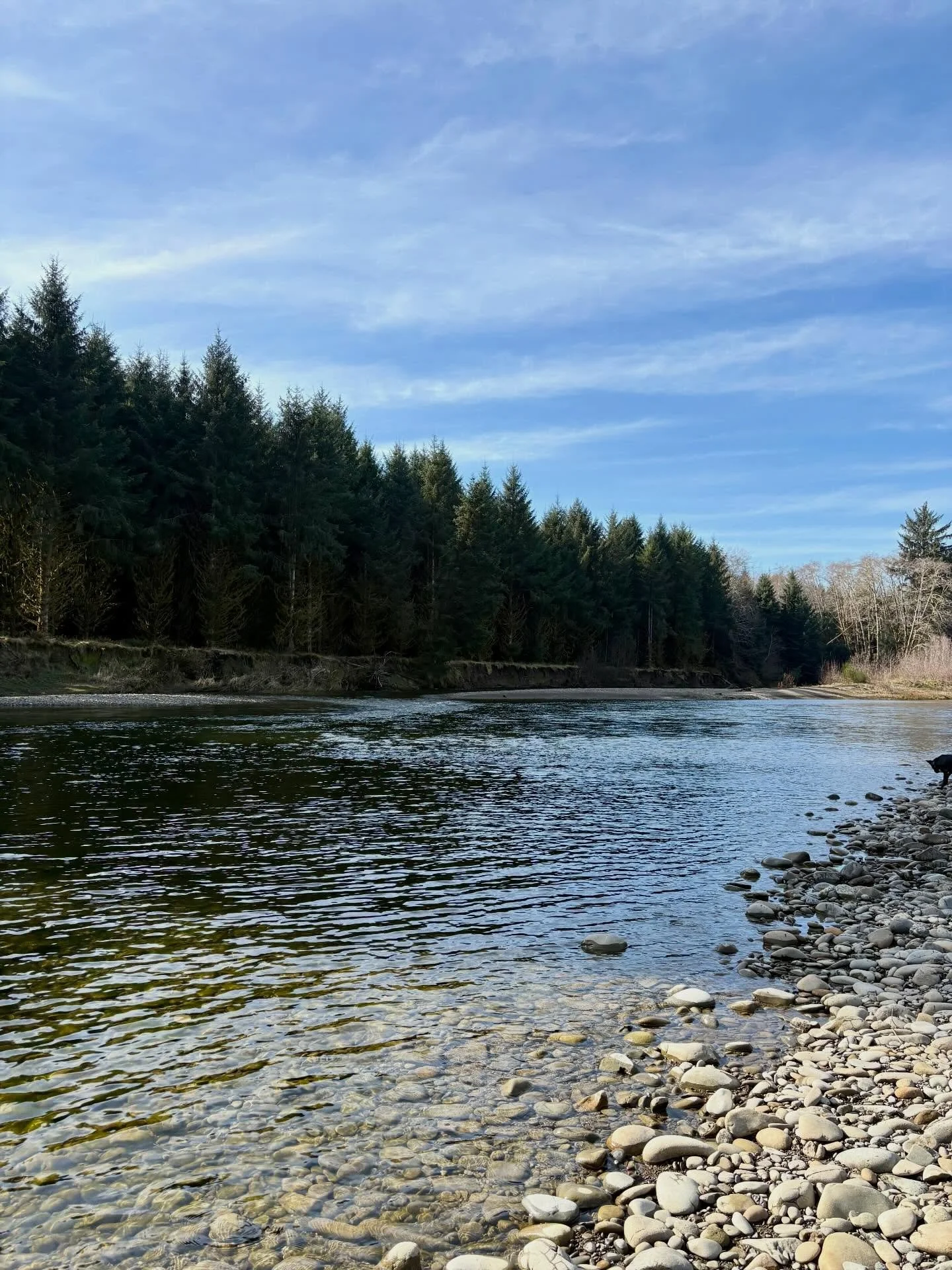 Copalis Beach Van Rally
Sprinter Owners Group
Day 2 &mdash; February 28, 2026 &mdash; Part 2

After the recovery workshop, all the vans headed north along the coast and then inland to the Quinault Reservation. Before reaching Queets, we took a less t