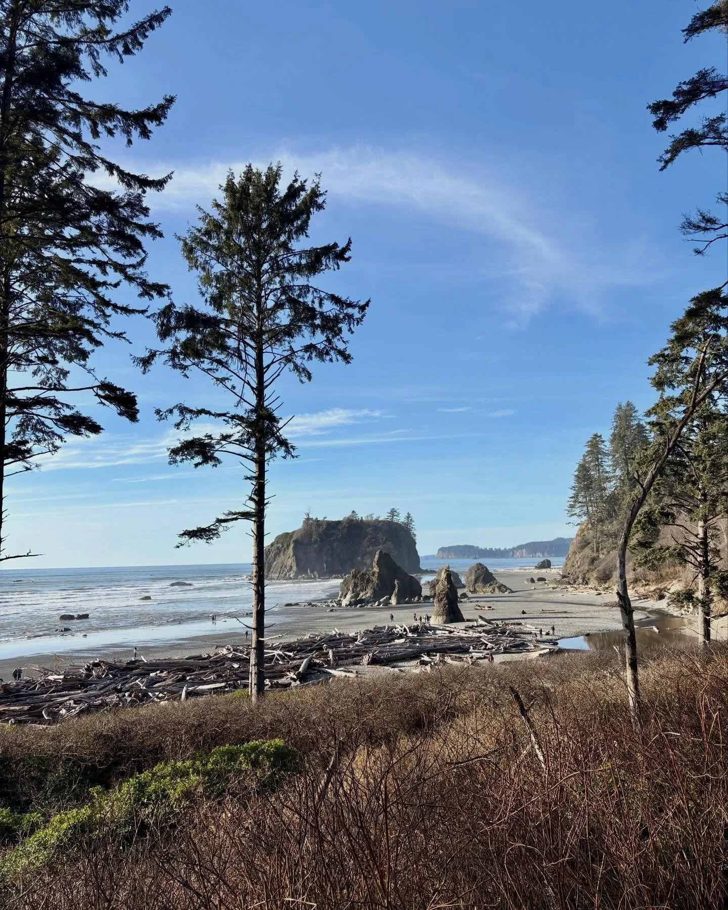 Copalis Beach Van Rally
Sprinter Owners Group
Day 2 &mdash; February 28, 2026 &mdash; Part 3

Since we already traveled so far north on the Olympic Peninsula, it only made sense to drive another 20 minutes to the famous Ruby Beach, the gem along High