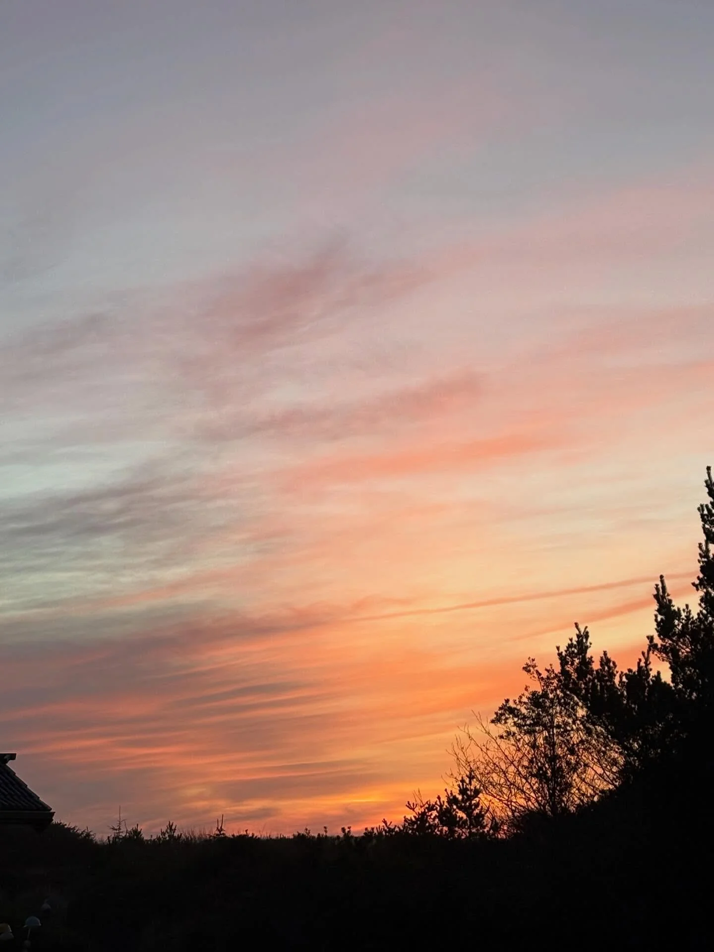 Copalis Beach Van Rally
Sprinter Owners Group
Day 2 &mdash; February 28, 2026 &mdash; Part 4

The sunset was quite a stunner on the second day of the van rally. I honestly wish I had walked to the beach to get a better view of it, but I stayed at the