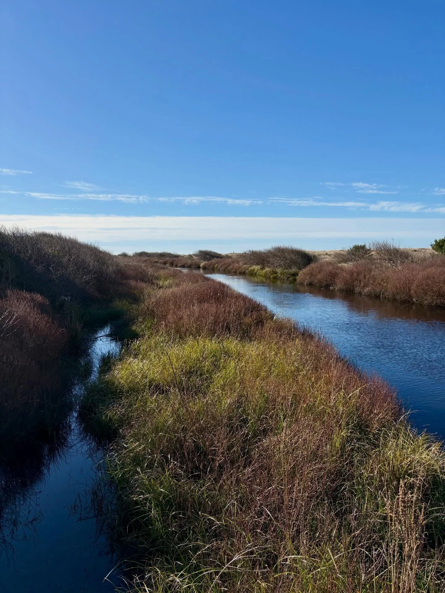 Copalis Beach Van Rally
Sprinter Owners Group
Day 3 &mdash; March 1, 2026

On the last day of the Sprinter Owners Group Van Rally, I finally made my way to Copalis Beach, which is about a five minute walk from @pacificdunesresort where we were camped