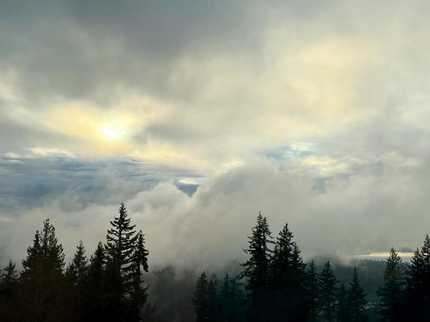 March 4th Sunset &mdash; Part 1 ☀️🌫️
The fog started to dissipate and the clouds opened up, both letting the sun filter through as golden hour set in.