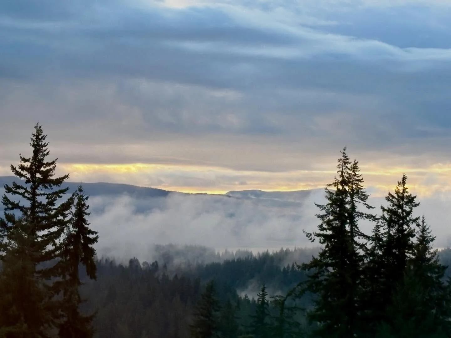 March 4th Sunset &mdash; Part 3 🌤️🌅
The sunset evolved into more bursts of color as some fog lingered in the trees and some clouds hovering over the bay and islands.