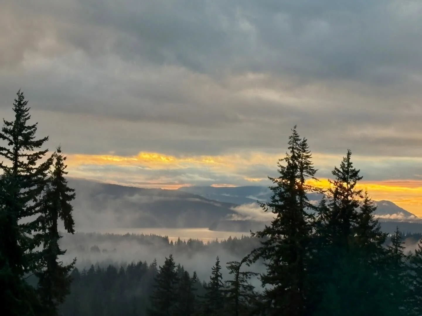 March 4th Sunset &mdash; Part 5 🌅🪄
That magic moment when the light, the bay, the clouds, the islands, the fog, and the treea all culminate into a stunning vibe!