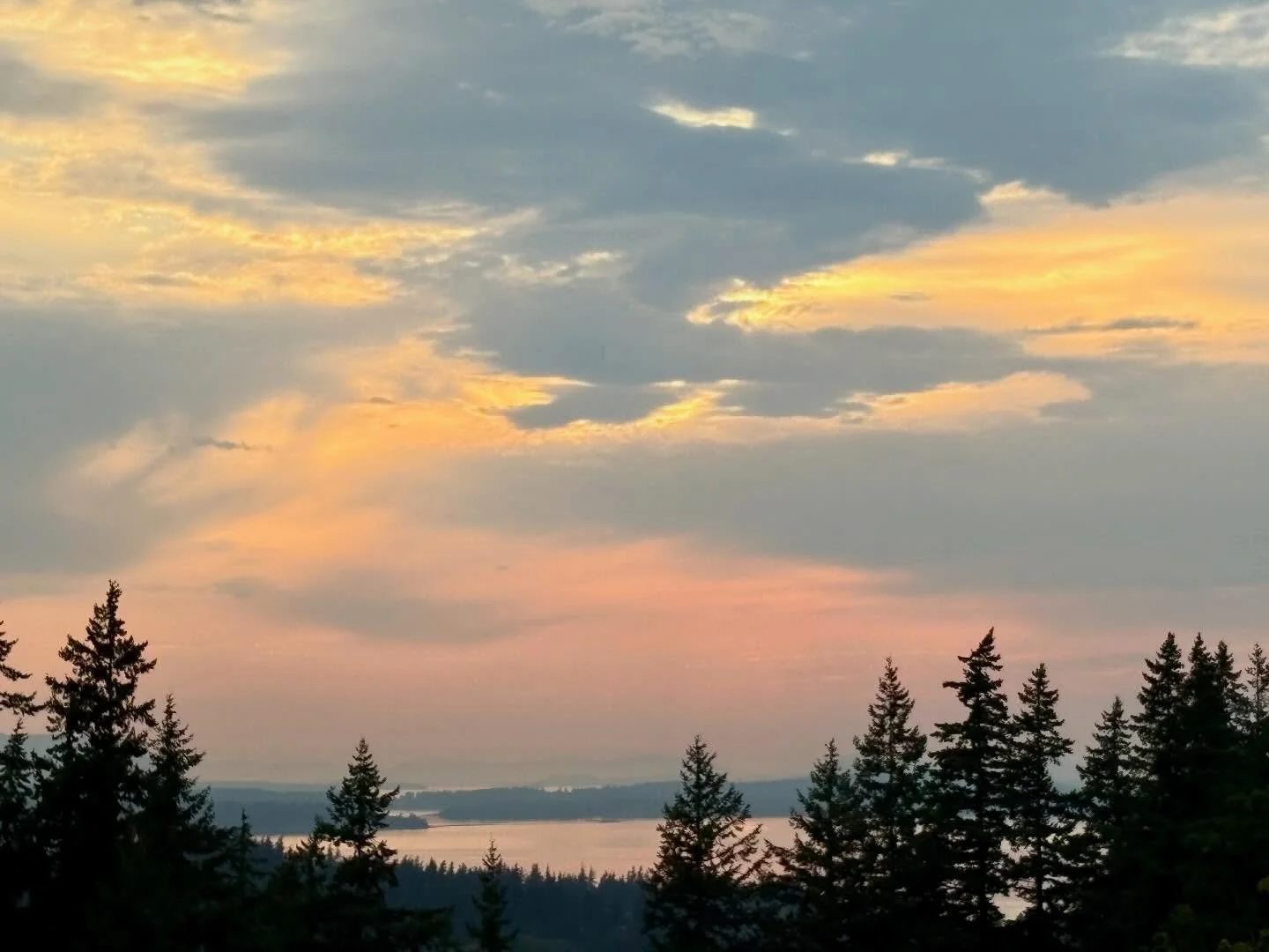 Remembering the summer sunset on 8/28/25 with its pastel fluffy clouds and deep red glow as the sun set over the trees! 🌅