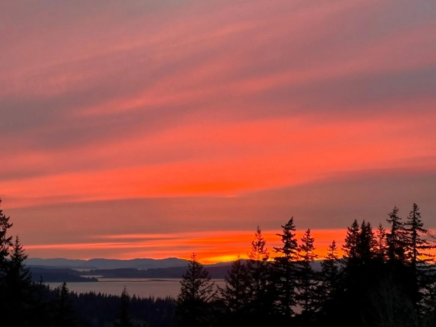 More from the gorgeous sunset showing on Friday (3/27)! The rich red colorful tones fired up the clouds and sky into the most beautiful spectacle that I cherished every second of! 🌅