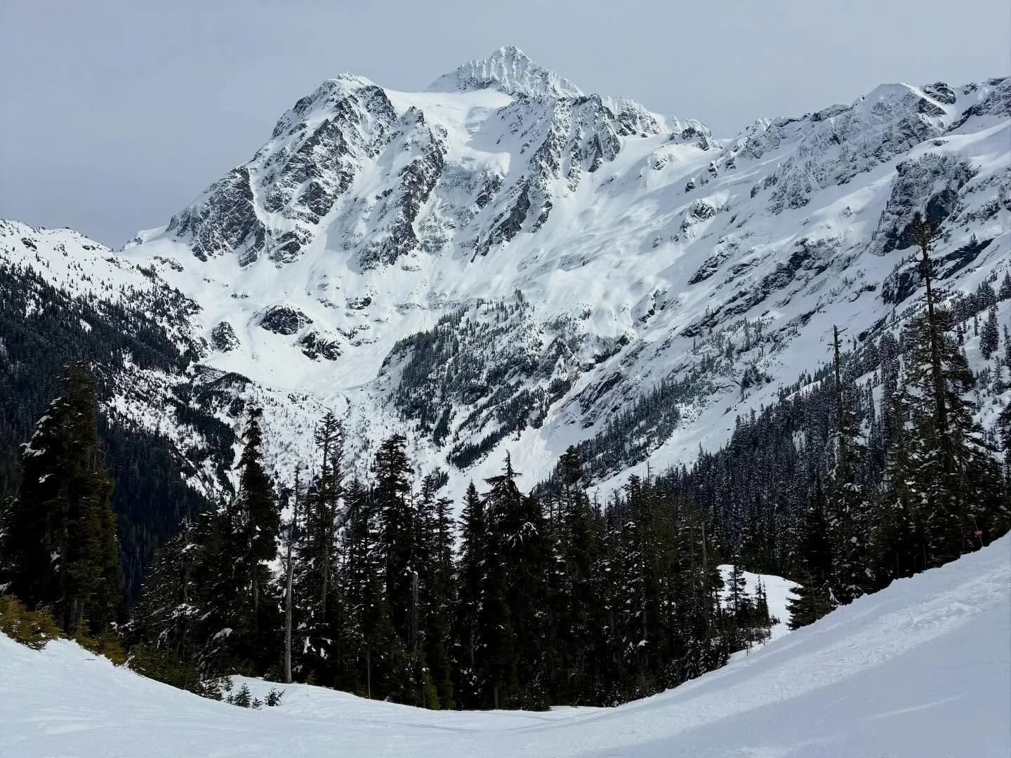 Mount Shuksan is such a beautiful mountain in the North Cascades! It reminds me of the Swiss Alps with its jagged peak and overall aesthetic. I had the pleasure of getting these great captures this past Tuesday (3/31) while skiing @themtbakerskiarea!