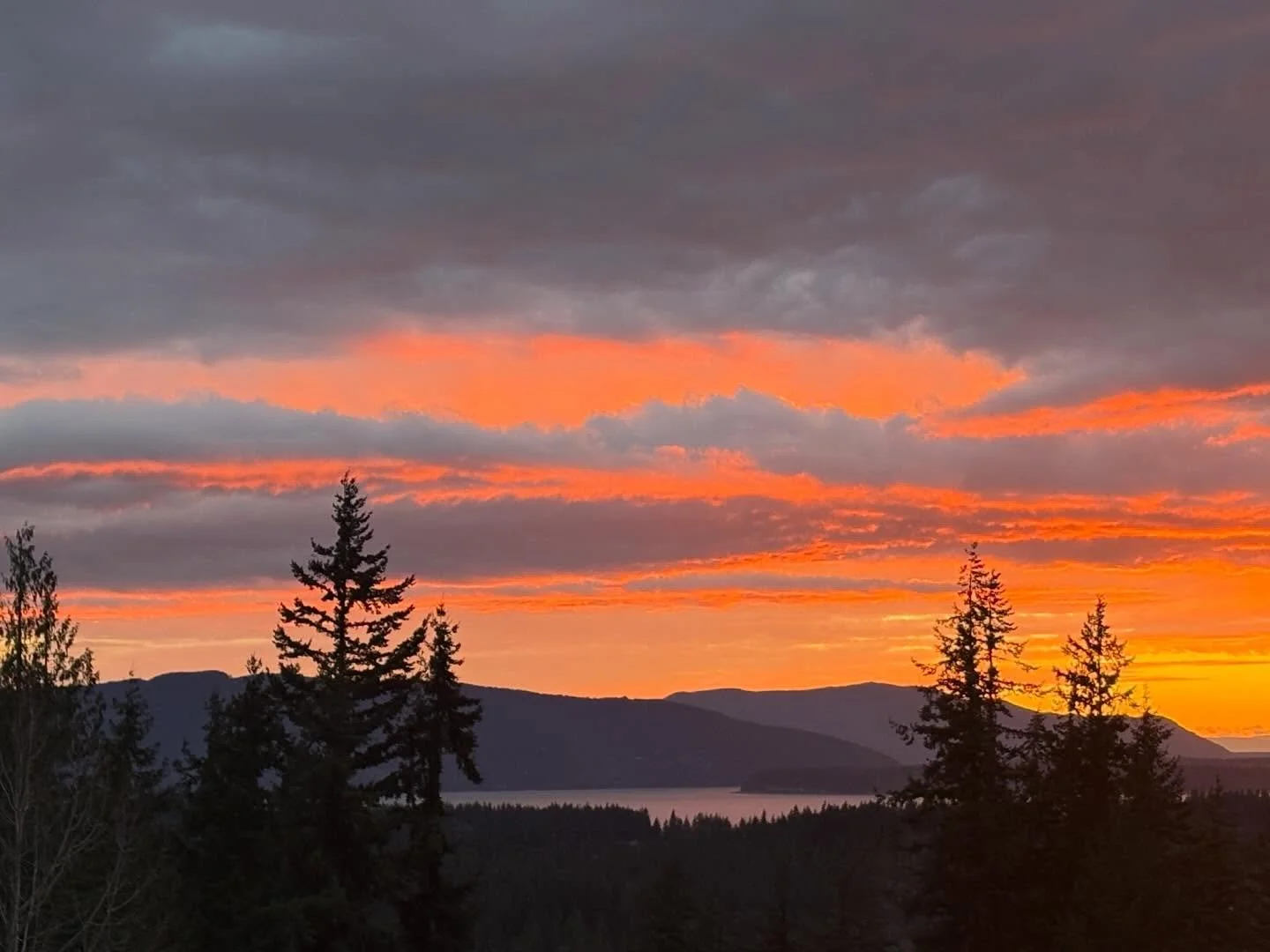 More shots from March 28th that I forgot to post. When golden hour started, I really didn&rsquo;t think it was going to be colorful sunset because the clouds were so gray (see last photo), but then right as the sun was setting, the sky lit up bright 