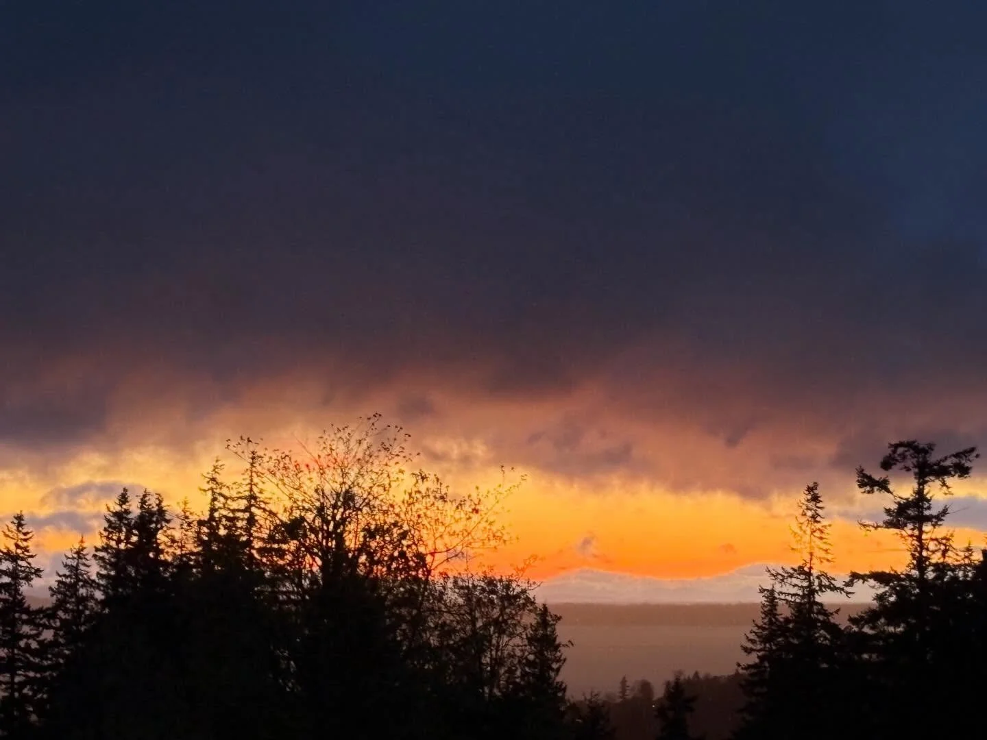 Even a stormy, rainy, and cloudy day can end with a fiery sunset, even if it only lights up a small part of the sky! Tonight really surprised me and put a huge smile on my face! 🌅